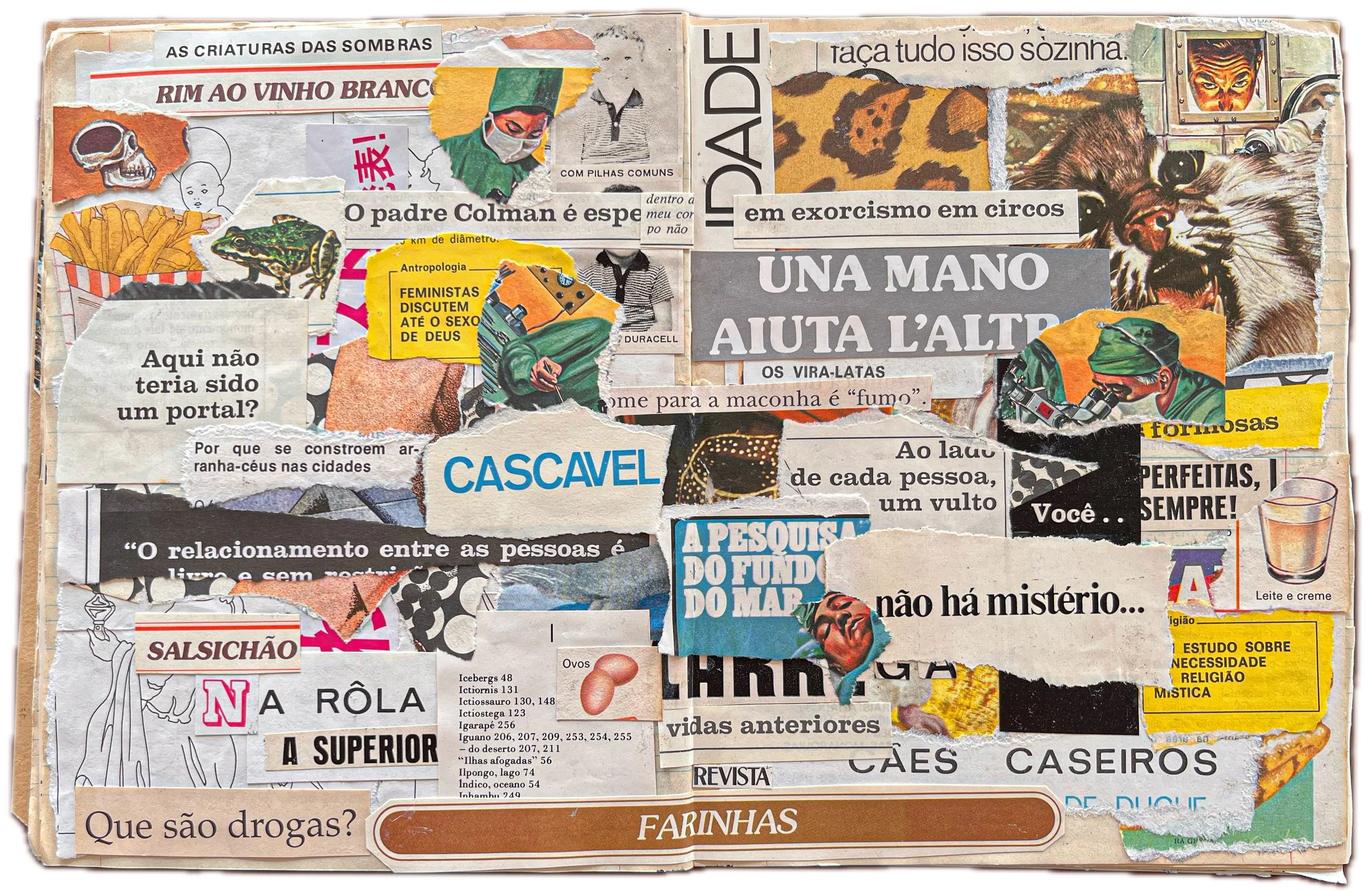 Colagem de retalhos de jornais e revistas com textos em português e imagens diversas, incluindo uma cabeça de lagarto, um tigre, e um copo de leite e creme, além de figuras humanas de desenhos e fotos, formando uma composição textual e visual.