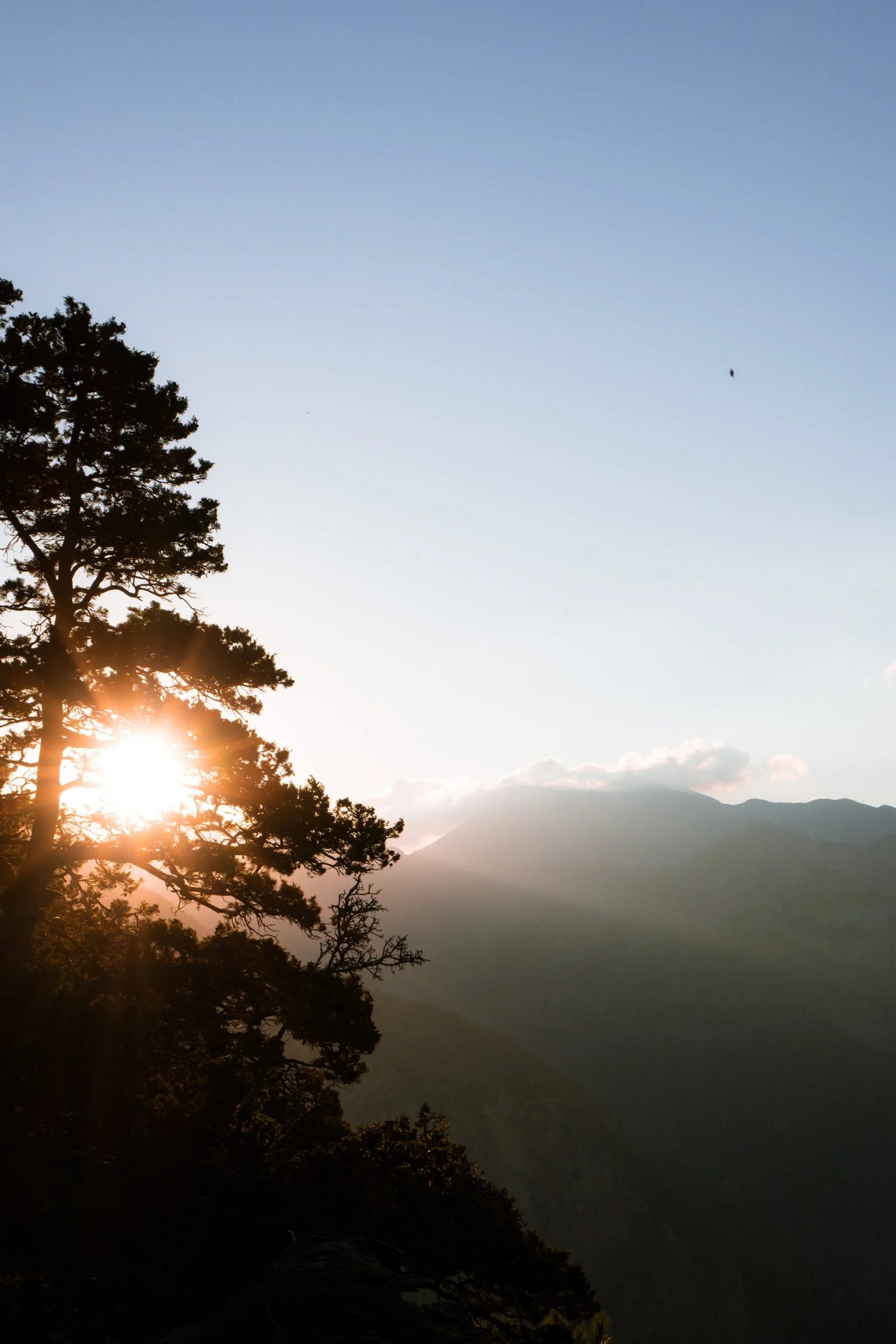 Sunset over mountain landscape with trees in foreground