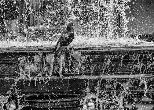 Hear Singing