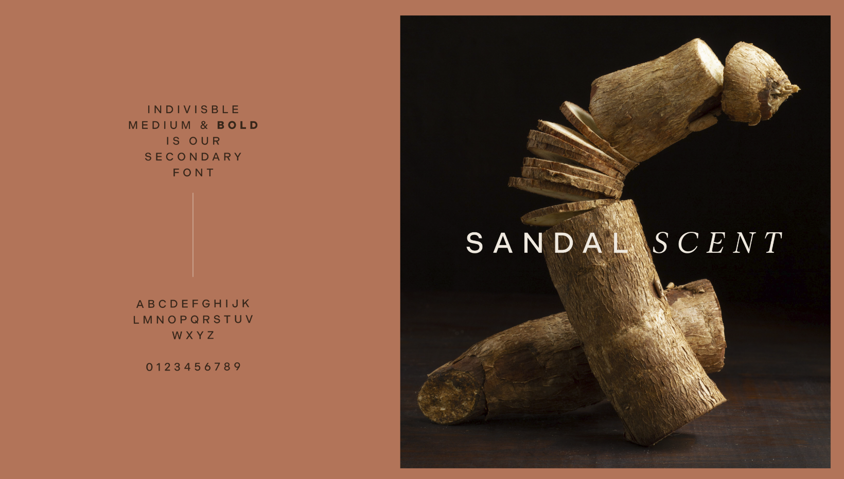 Adora sustainable cleaning brand typography