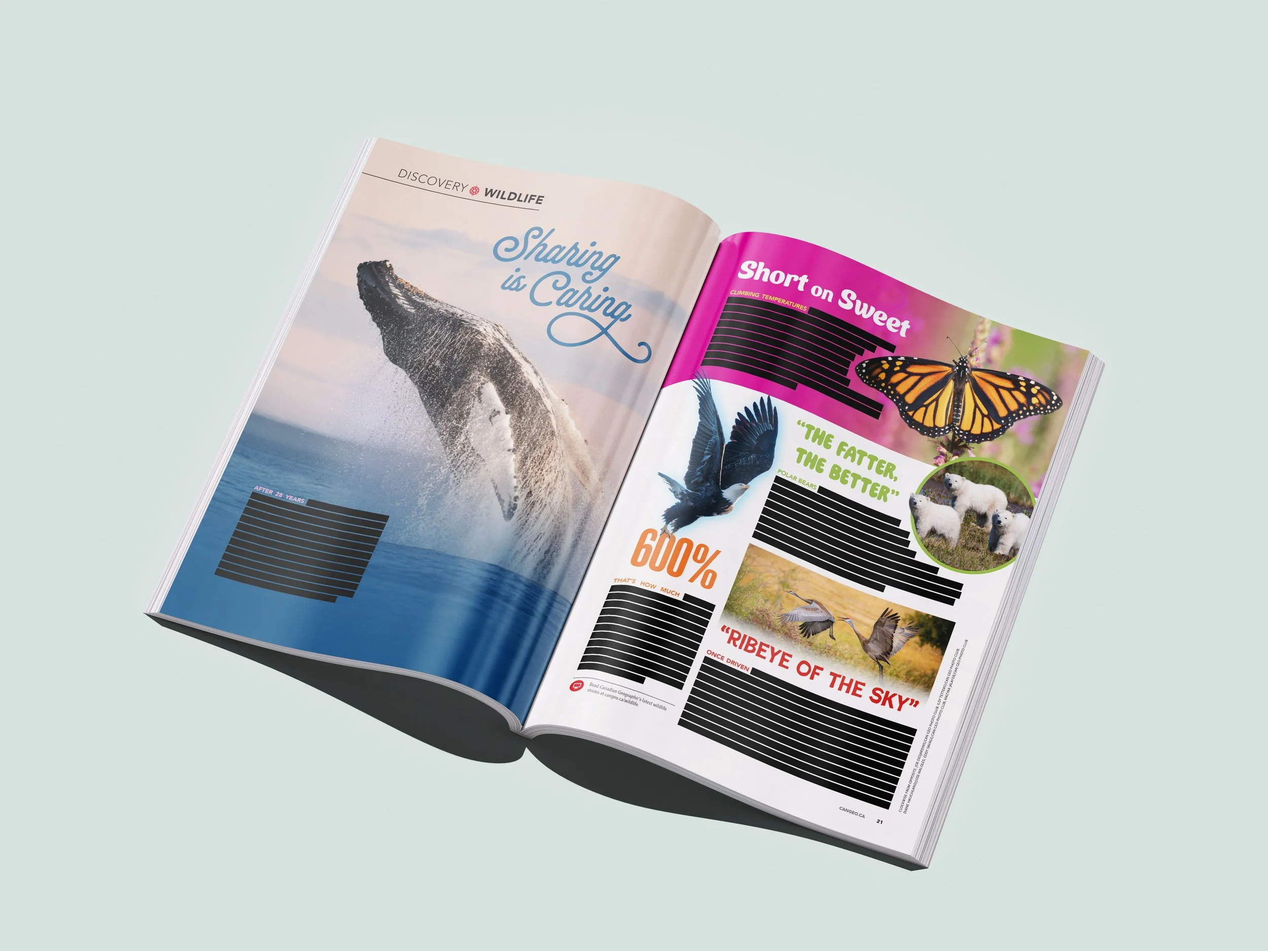 Magazine_Mockup_6.jpg