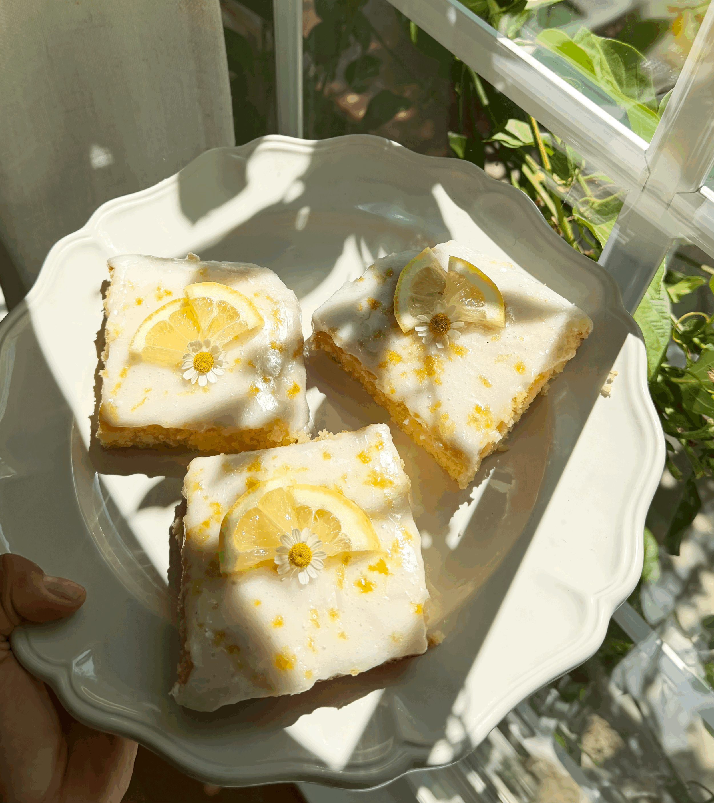 Lemon Blondies