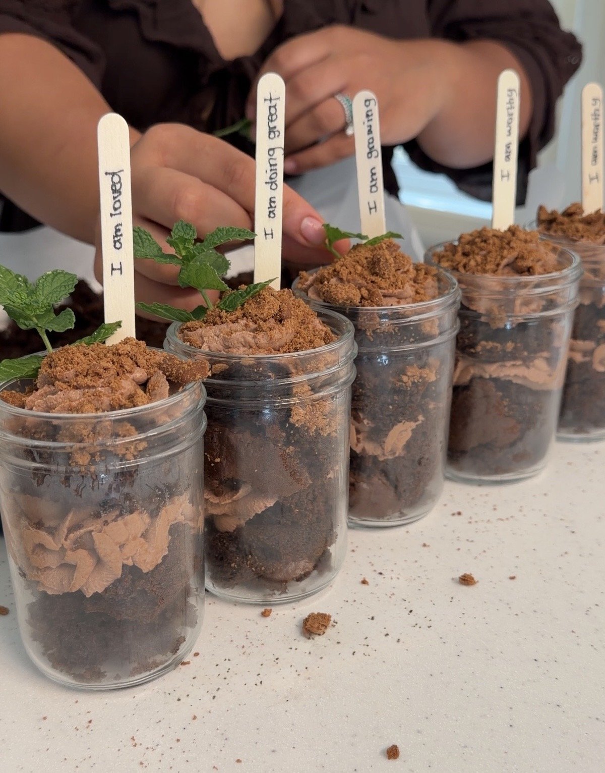 “Take What You Need” Mini Chocolate Trifle Garden Cakes
