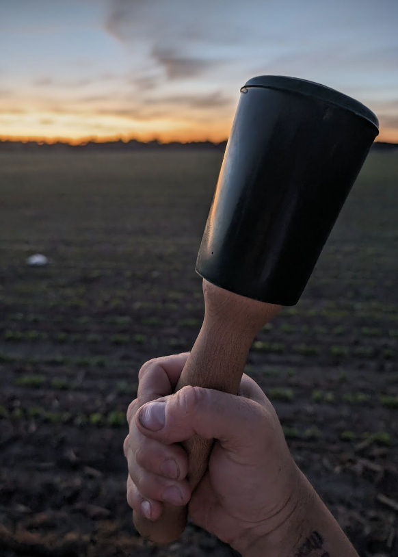 A hand holding a black mallet with a wooden handle in a field during sunset.