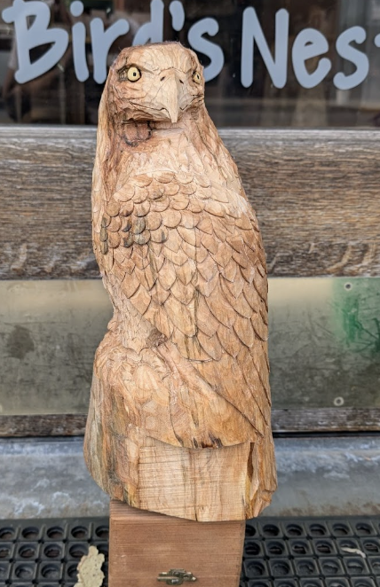 Wooden carving of an eagle with yellow eyes, perched on a wooden base outside a store with a sign behind it that reads 'Bird's Nests'.