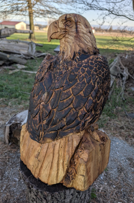 Wooden carving of a bird of prey, possibly an eagle, on a wood base outdoors with trees and a farm in the background.