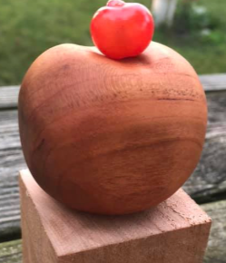 A red apple balanced on a smooth, rounded wooden sculpture outdoors.