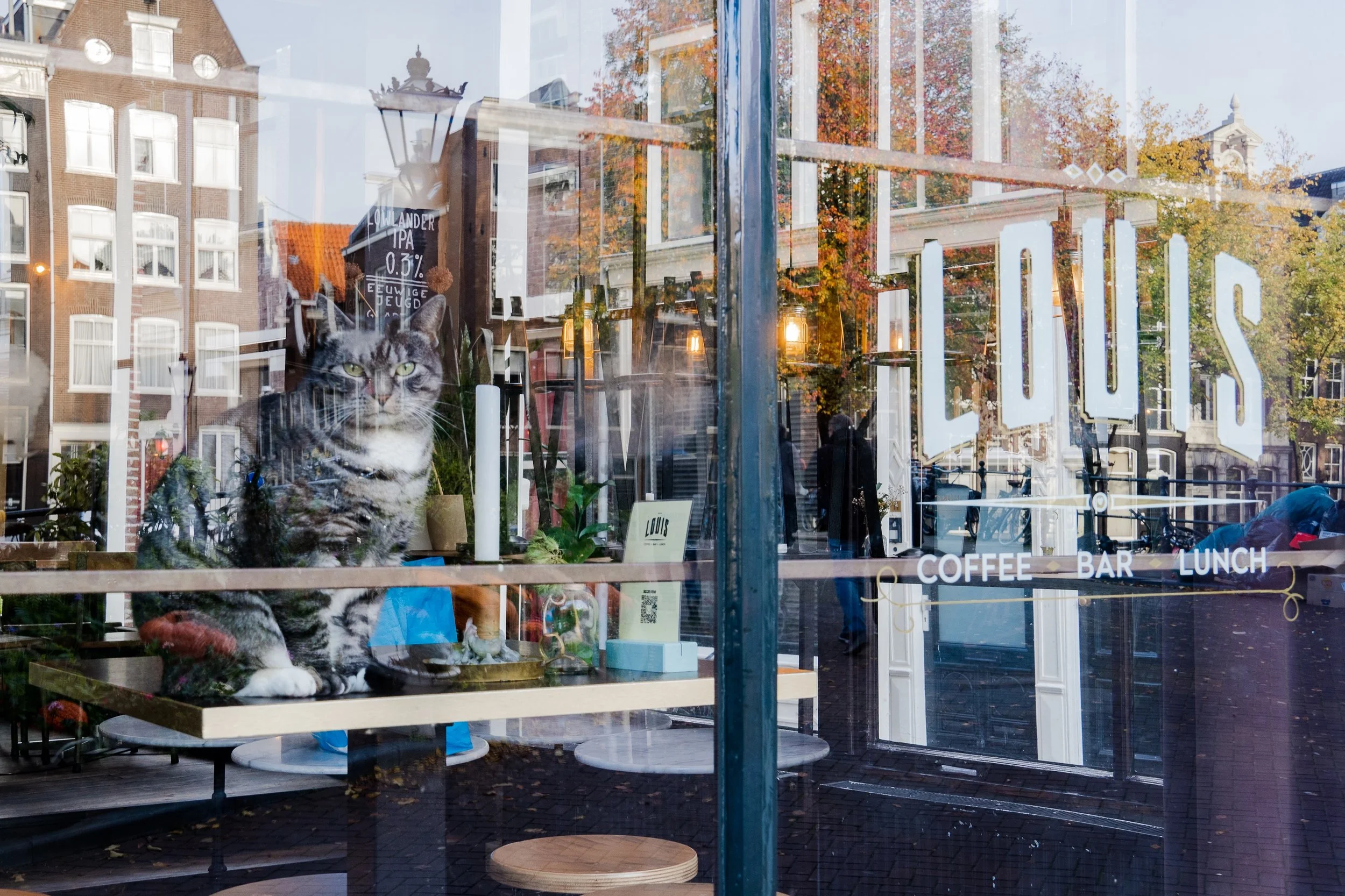 Netherlands-5 copy.jpg