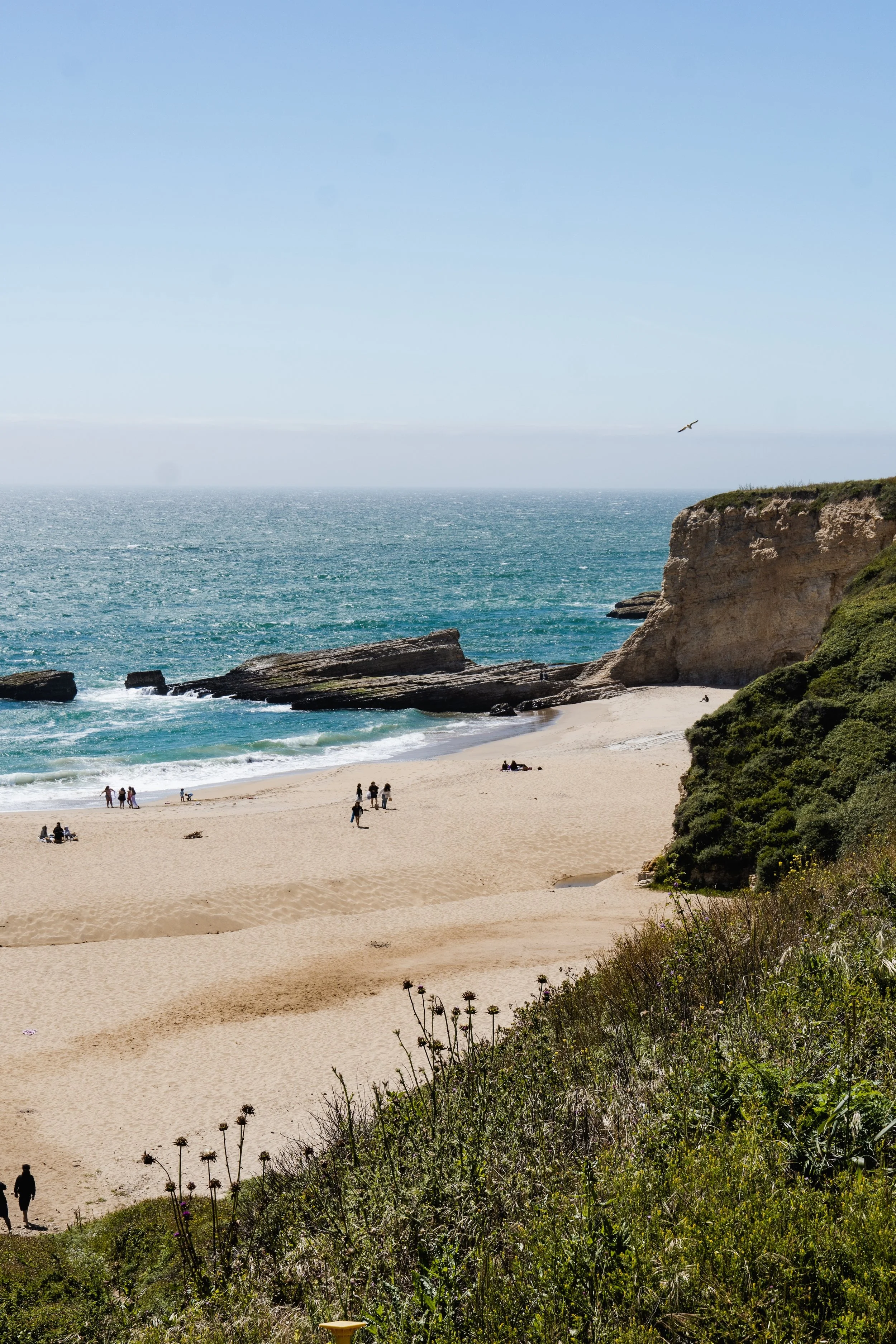 Cali-28 copy.jpg