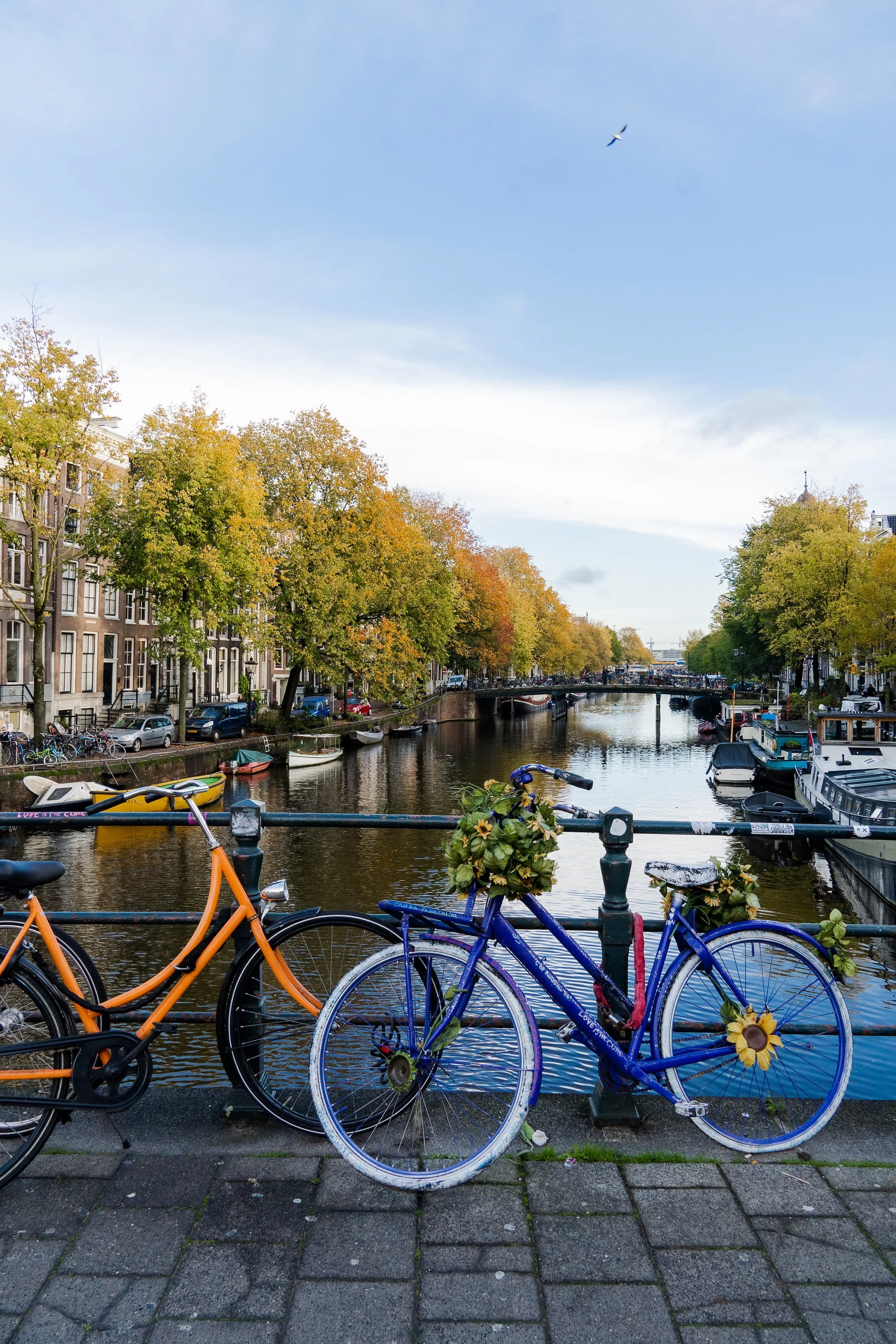 Netherlands-3 copy.jpg