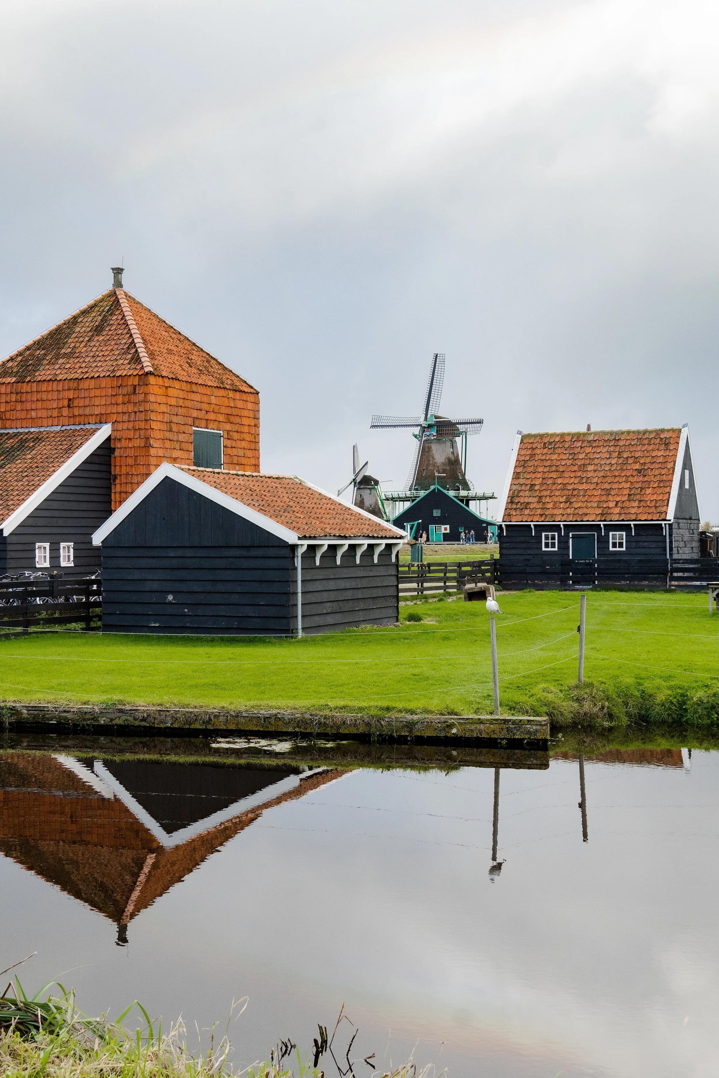 Netherlands-11 copy.jpg