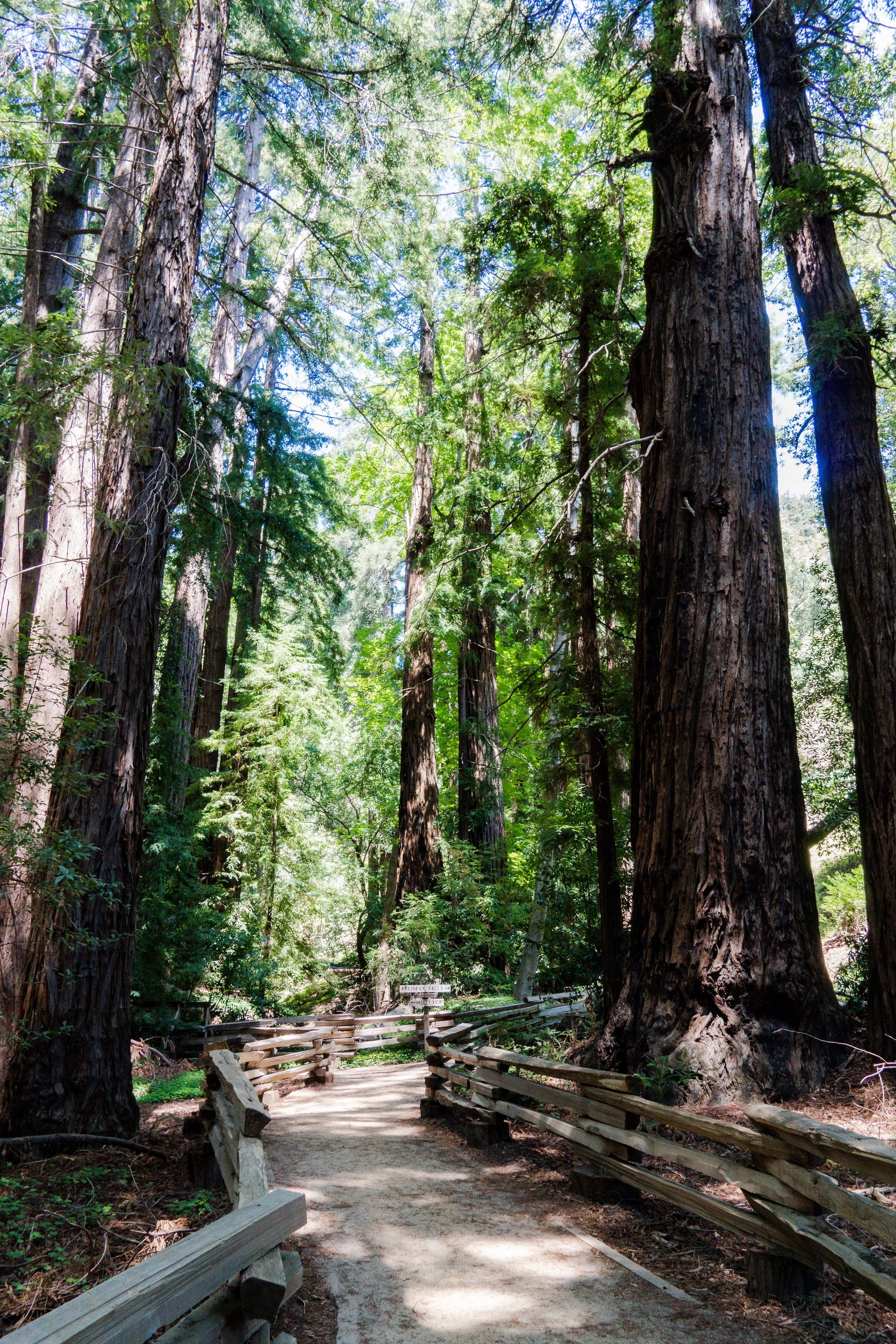 Cali-23 copy.jpg