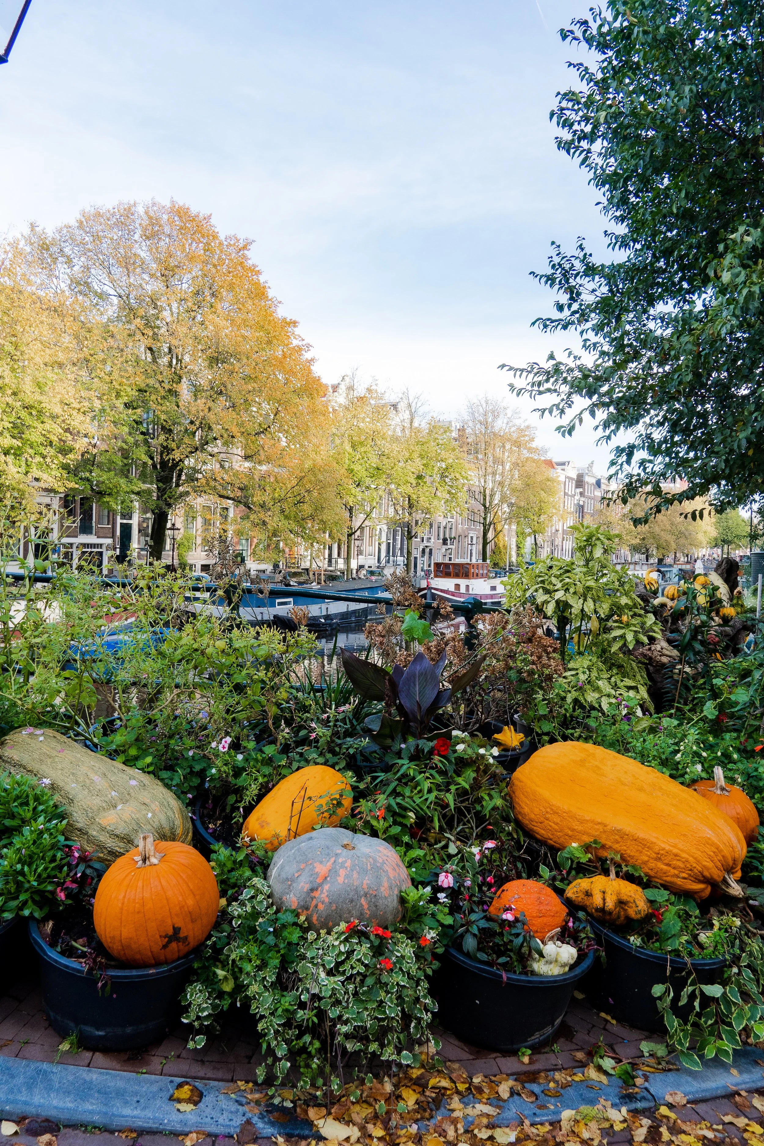 Netherlands-4 copy.jpg