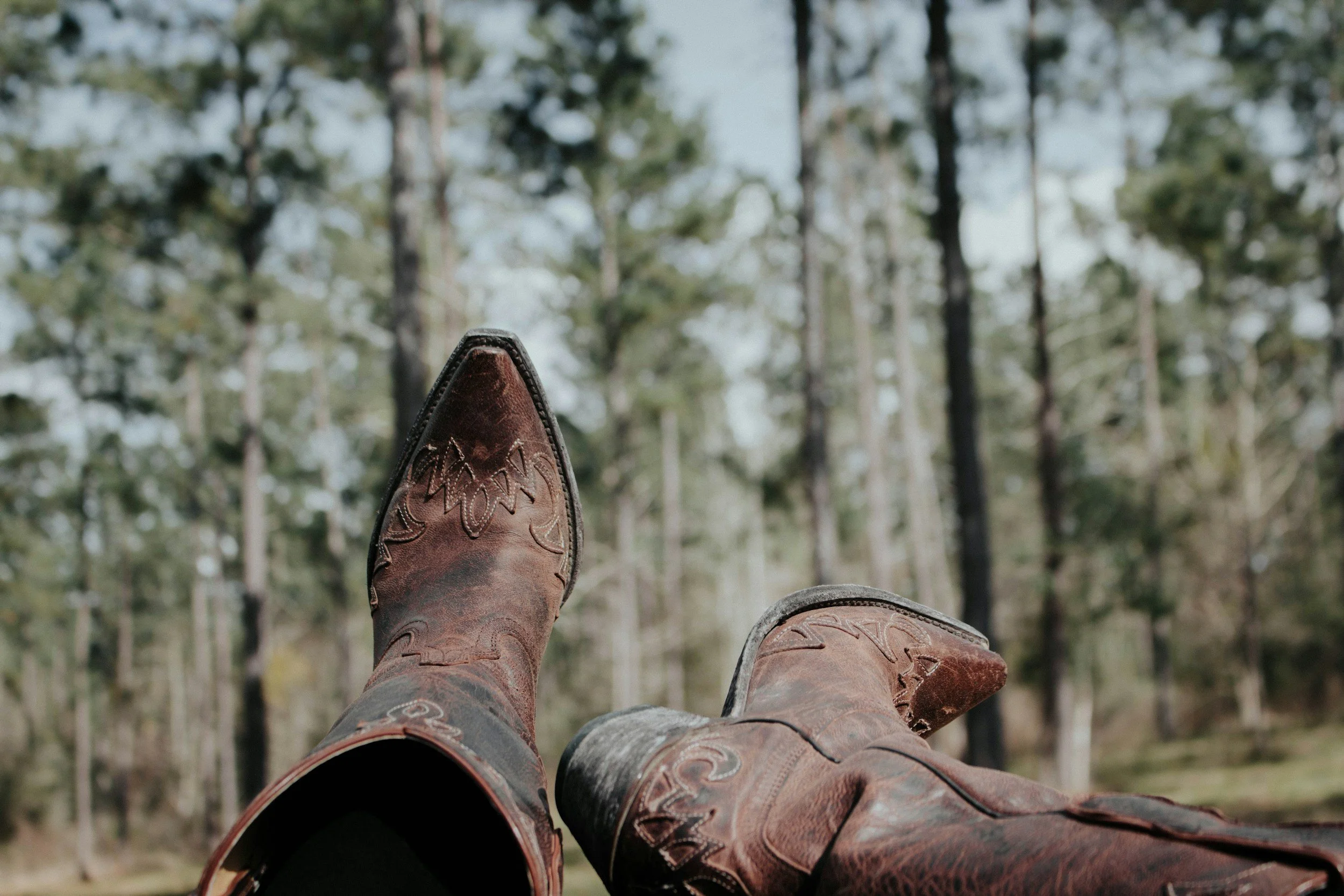 Cowboy boots resting on the ground with trees in the background.