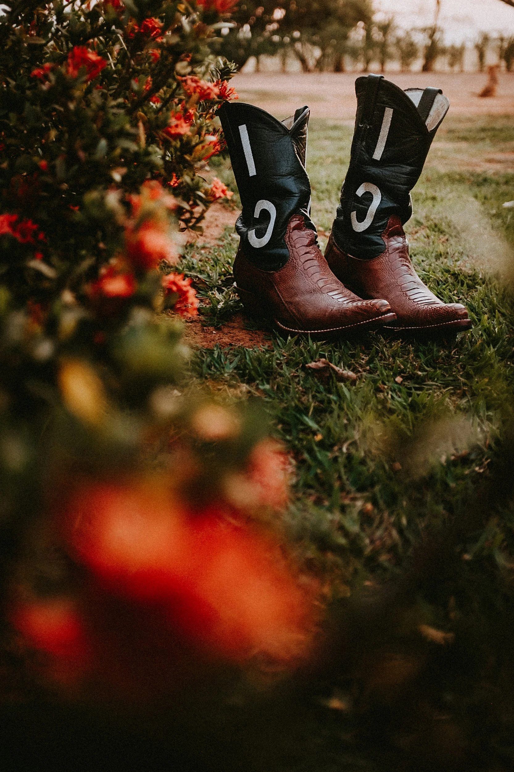 A pair of brown cowboy boots standing next to a hedge with red flowers in the foreground, on a grassy area, during sunset.