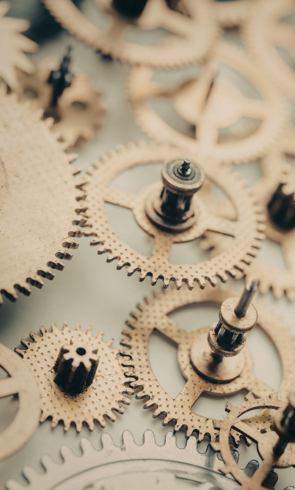 The gears that keep operations moving smoothly.