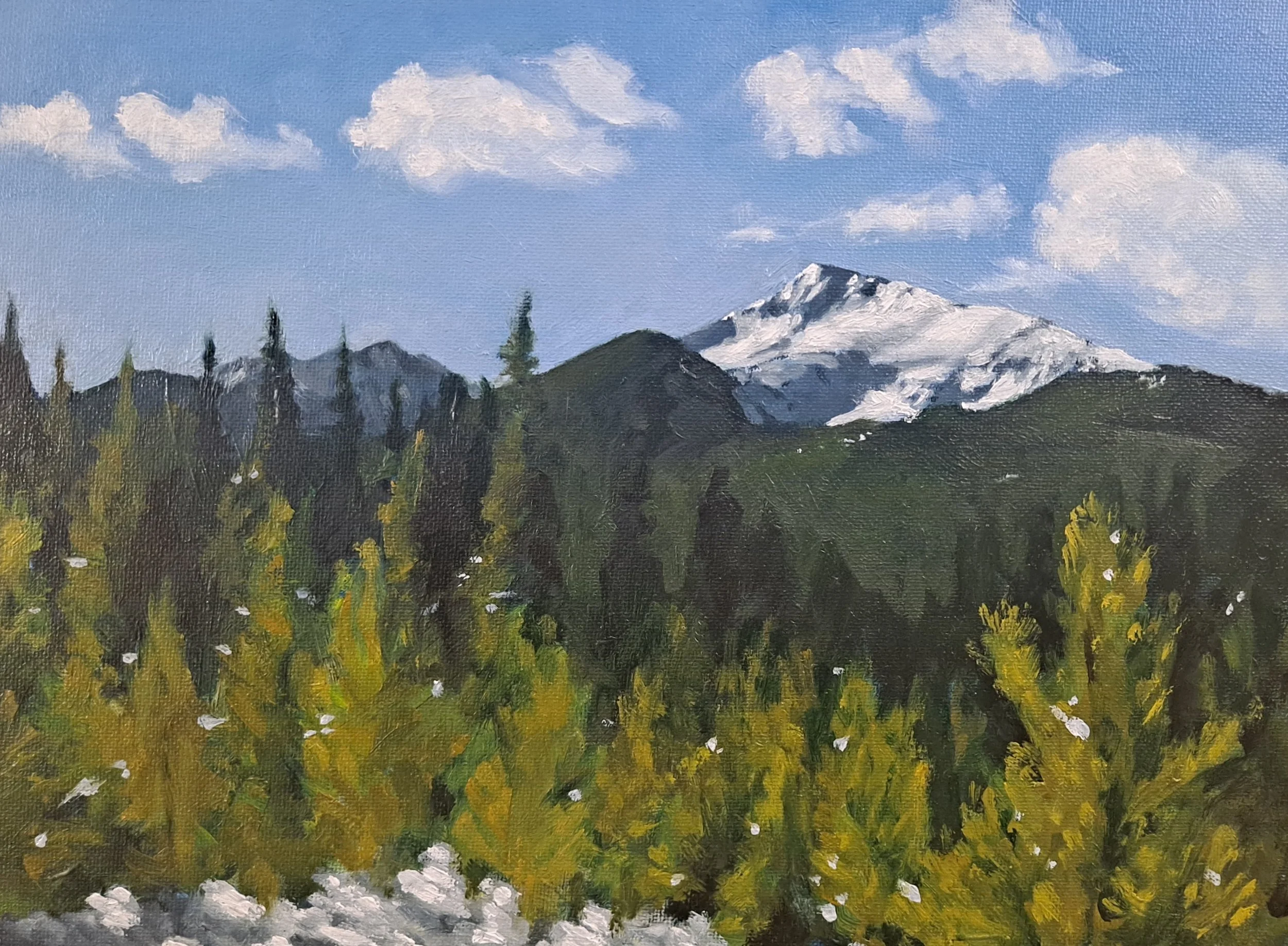 Promise I won't get caught up on last year, 9X12" Oil on Canvas - 2025