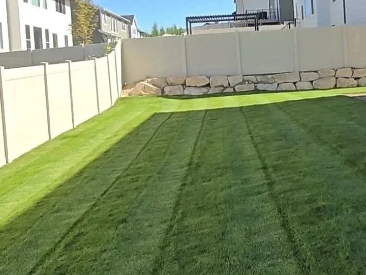 Proyecto Oranssi: Techo de vigas