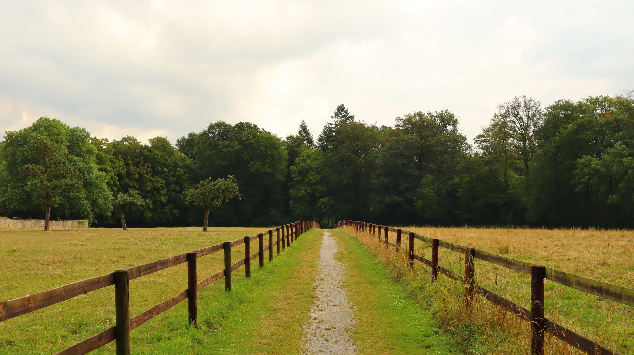 I Don't Want Davis to Change. That's Why I'm Voting Yes on Measure V.