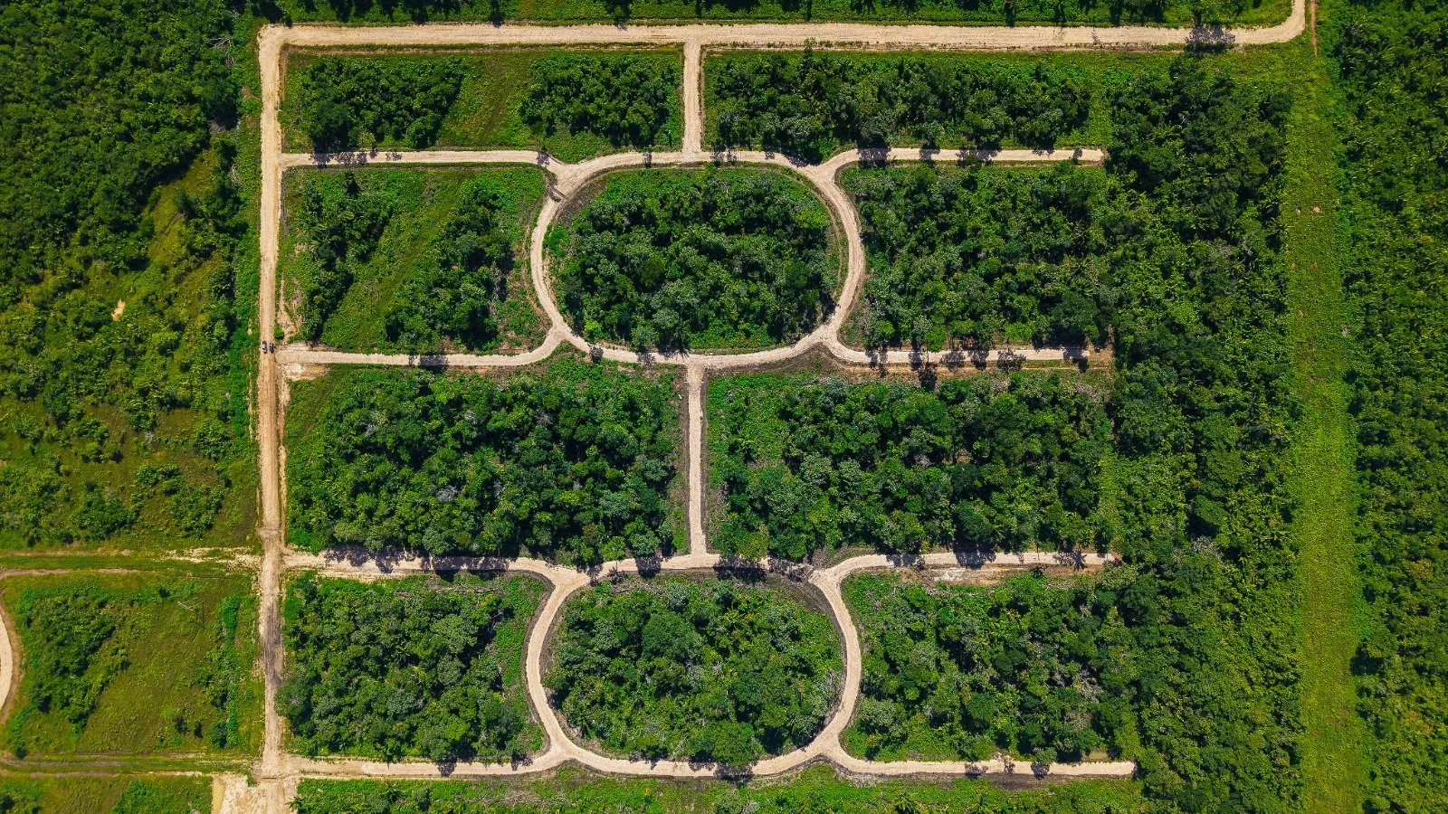 Aerial view of a symmetrical garden with pathways forming a cross pattern, surrounded by rectangular sections filled with trees and greenery.