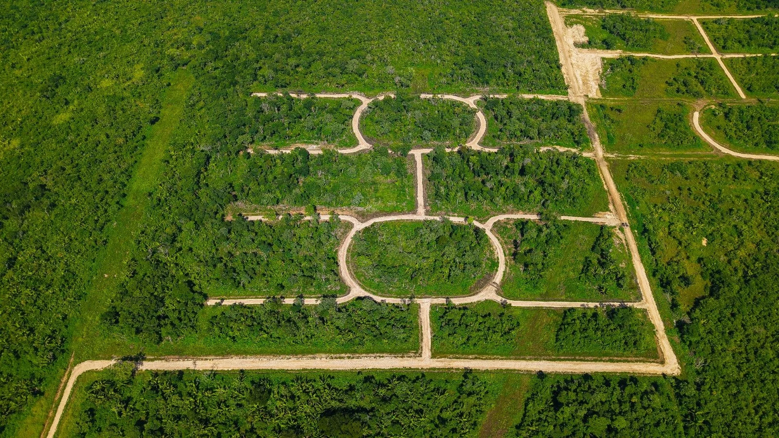 Aerial view of a park with circular and rectangular pathways, surrounded by dense green trees and vegetation.