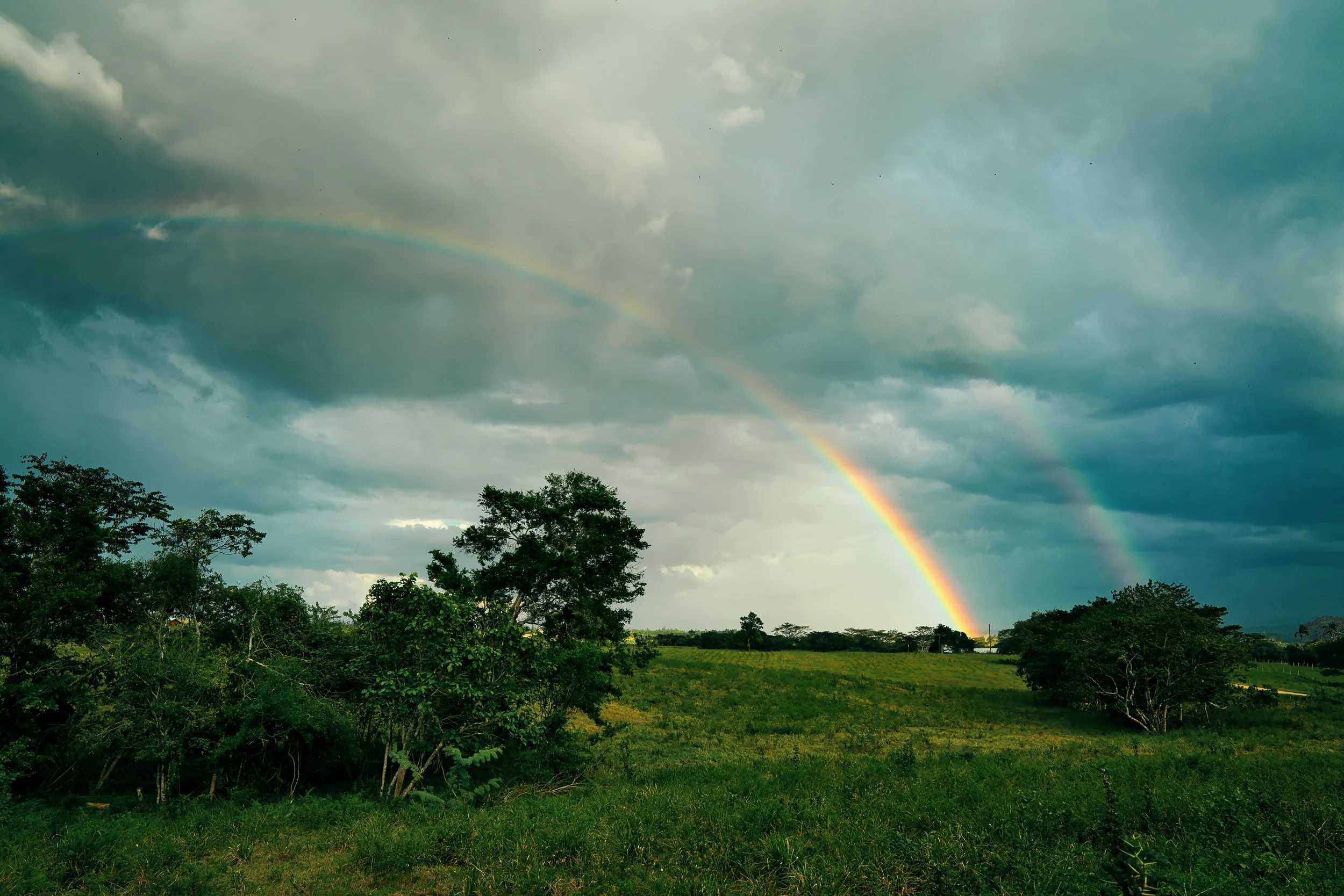 A landscape with green grass and trees under a cloudy sky, featuring a vivid rainbow with a faint second rainbow in the background.
