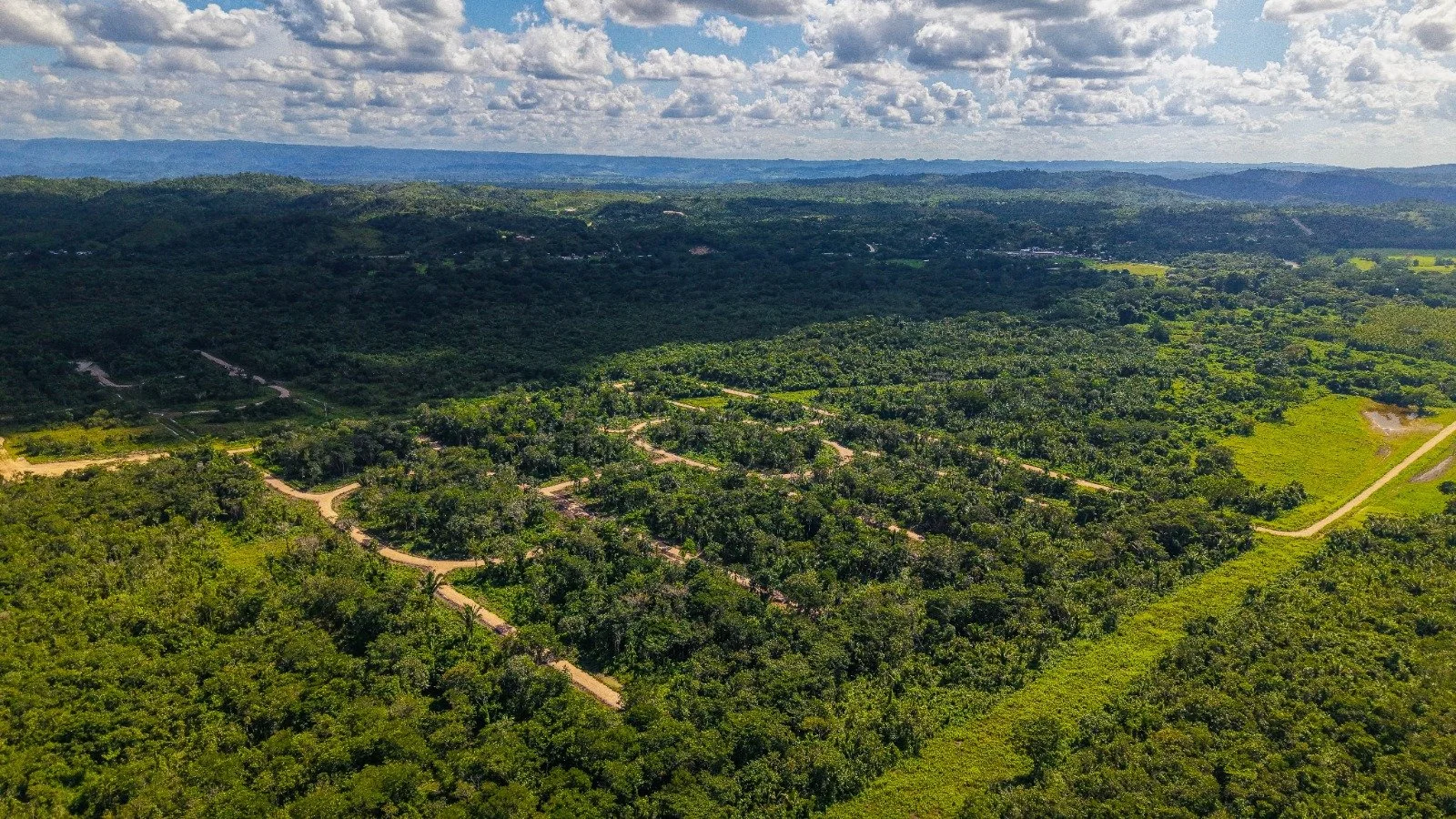 Aerial view of a lush green crop farm with winding dirt roads surrounded by thick forested areas and rolling hills under a partly cloudy sky.