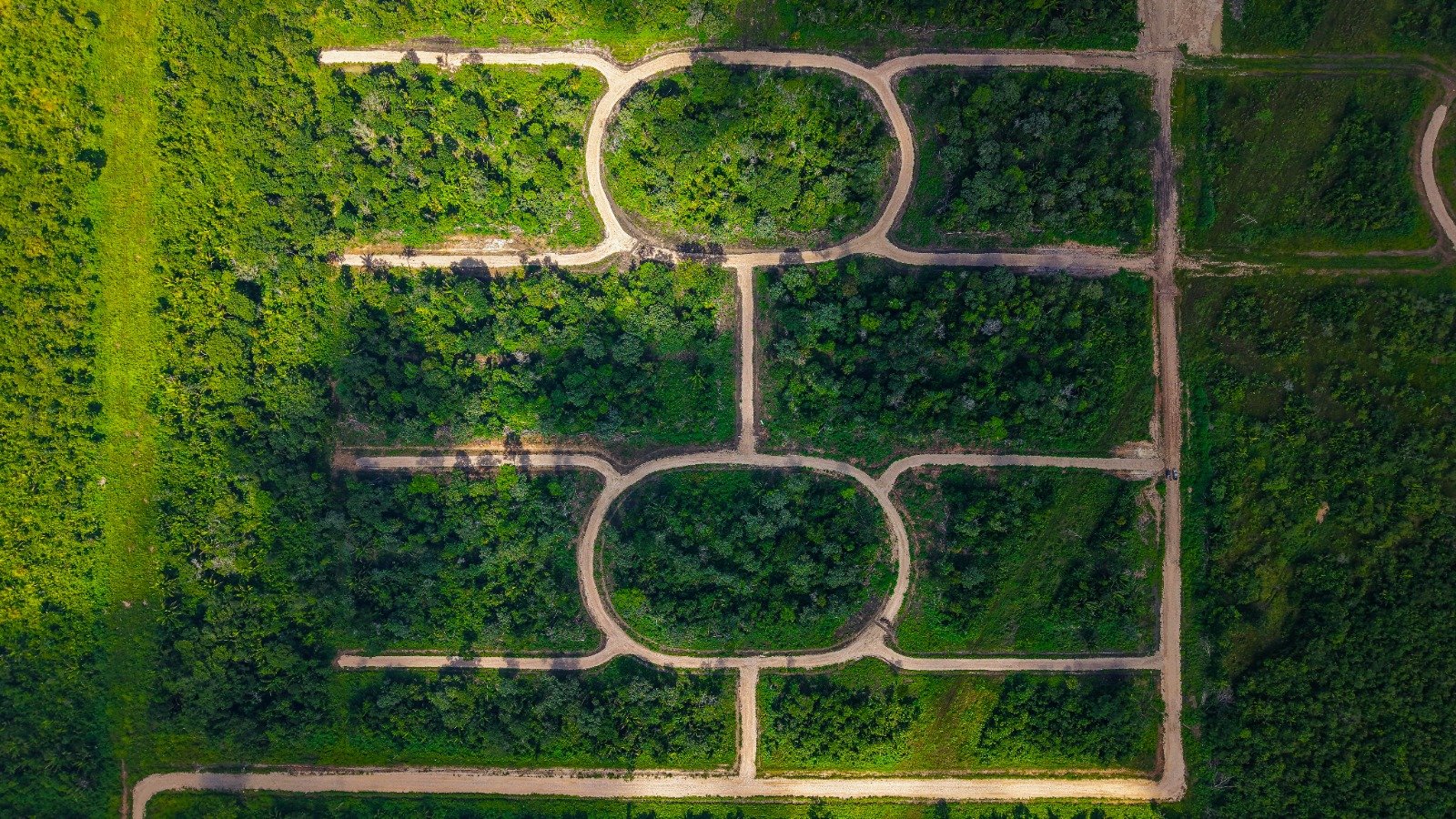 Aerial view of a park with geometric walking paths and densely wooded areas, including two oval-shaped paths connected by straight sections, surrounded by green trees and grass.