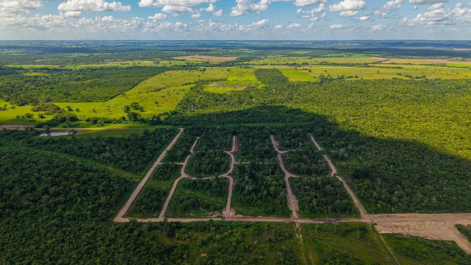 Aerial view of a lush green forest with a network of dirt roads creating a grid pattern in the foreground, with open fields and a partly cloudy sky in the background.