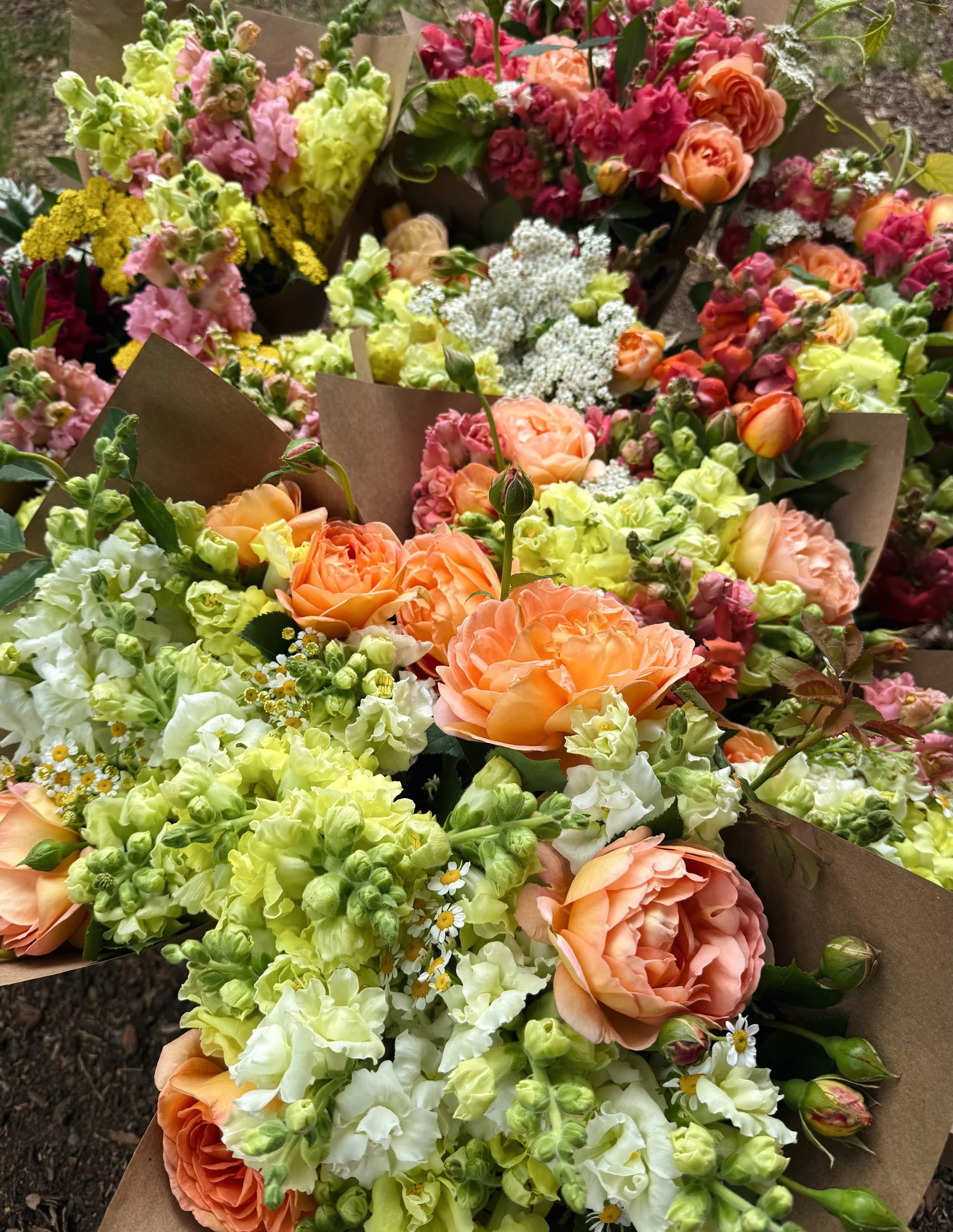 Back @hoodlandfarmersmarket for our first regular market of the season! We&rsquo;ll be there every Saturday 10-2pm until October. No fruit yet but come get some late spring blooms, seedlings and farm merch ✨