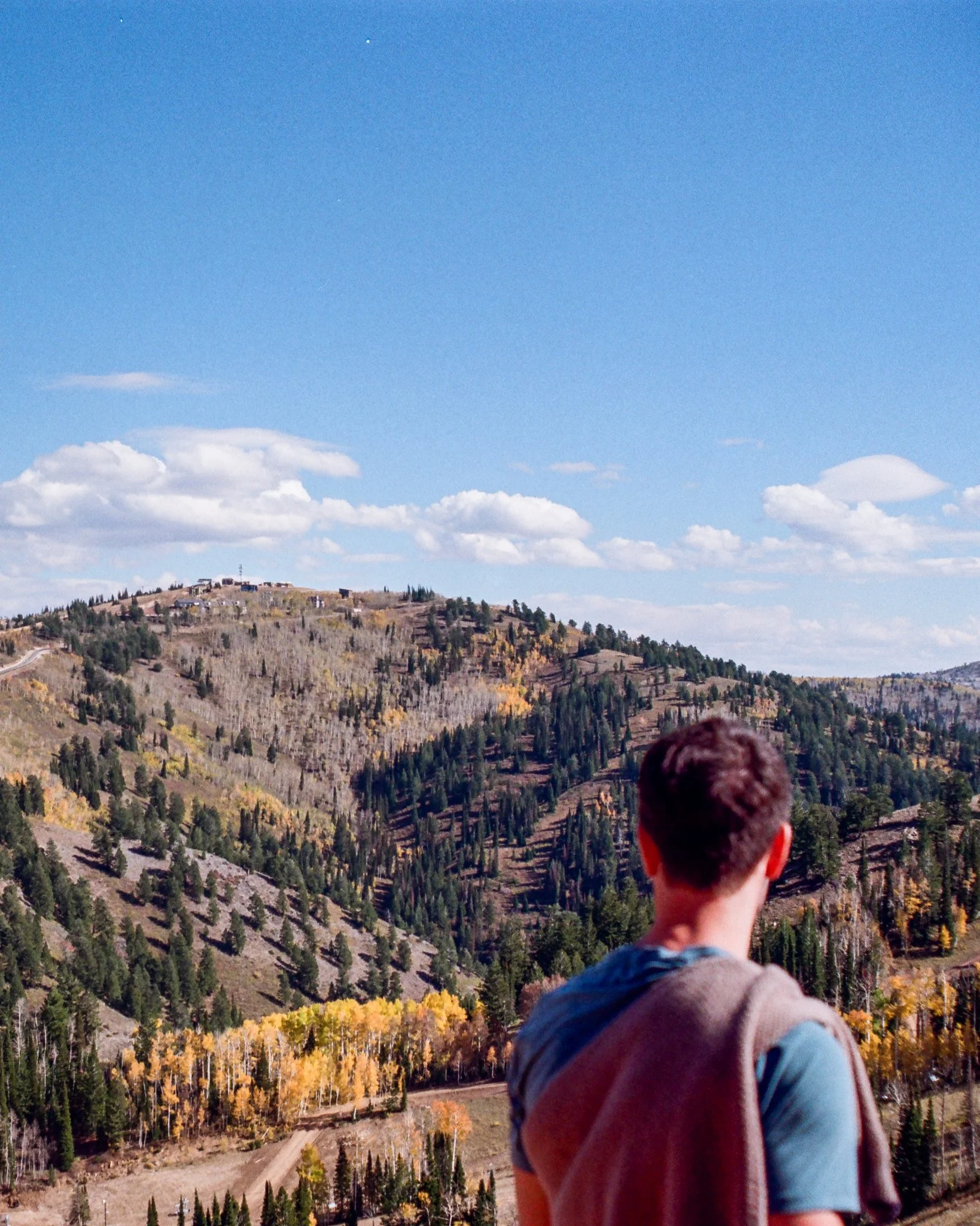 A young man with short brown hair facing away, standing outdoors overlooking a hilly landscape with trees, some yellow, under a blue sky with white clouds.