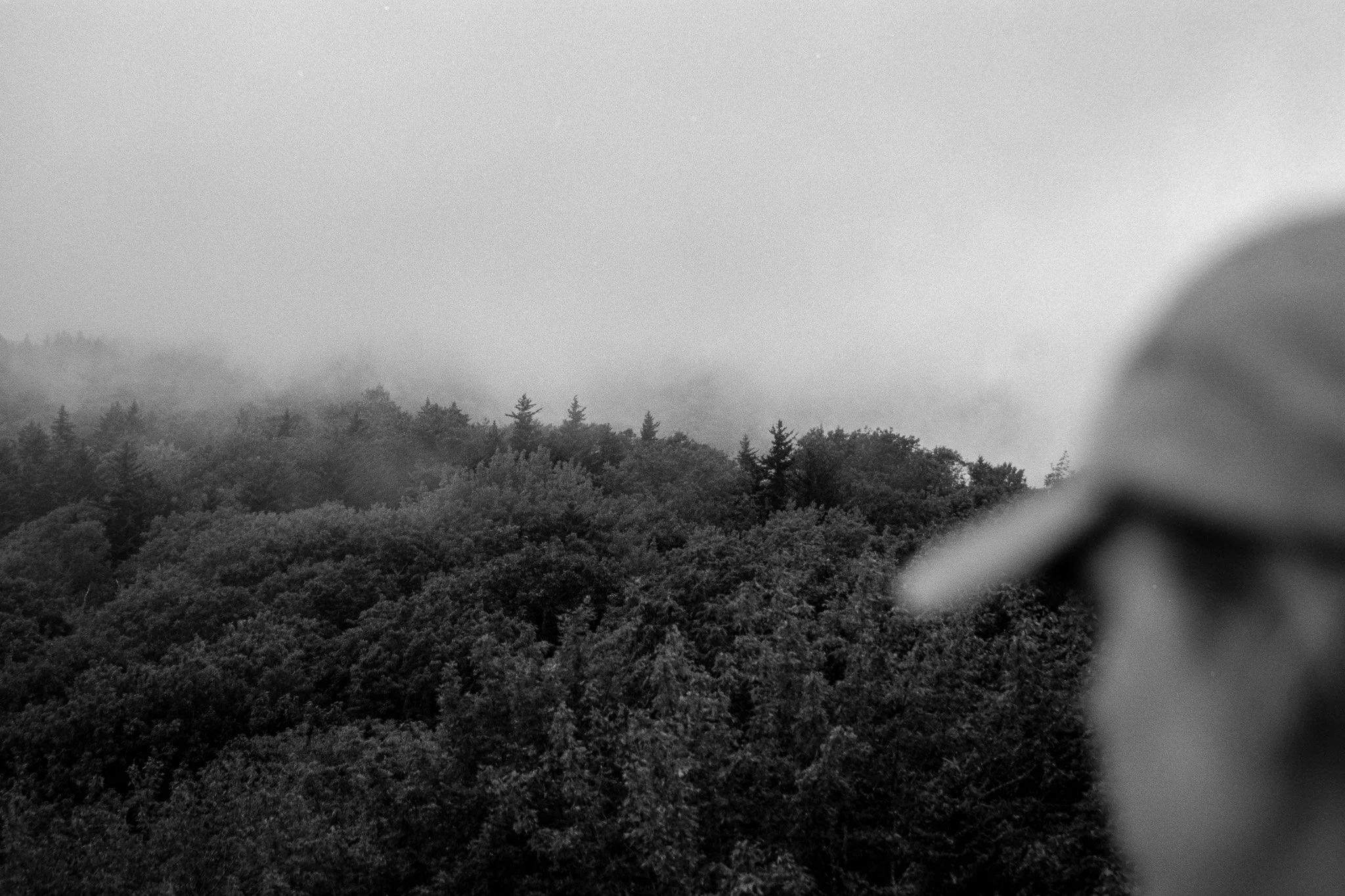 Black and white photo of a foggy forest with trees on hills and a blurred figure wearing a cap in the foreground