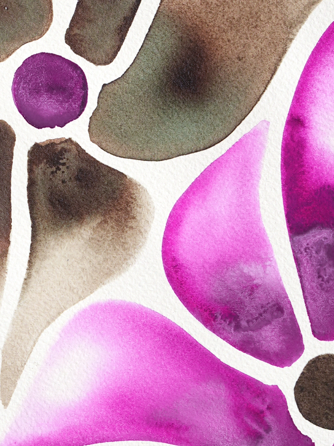 Plum-Petals_Close-up_Website.png