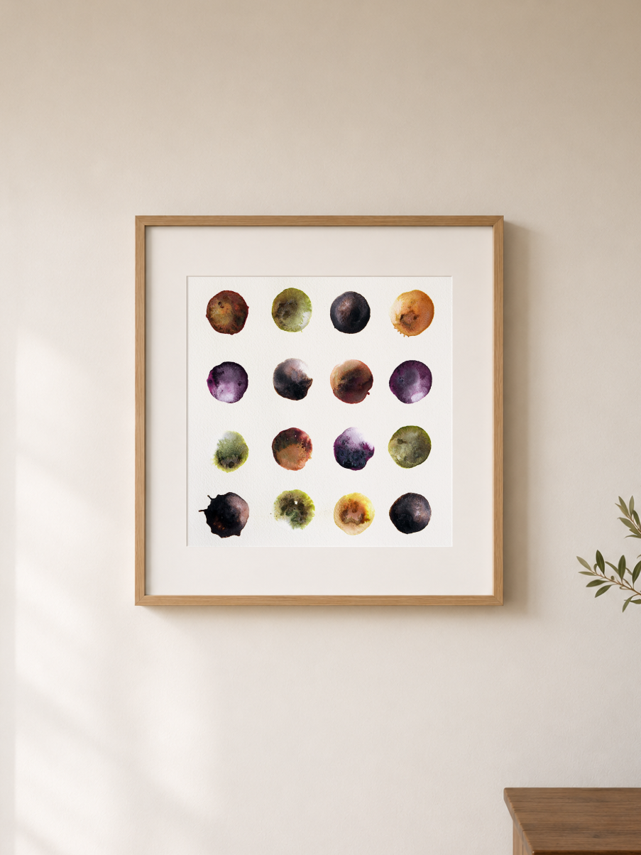 Olive-Grove_Staged.png