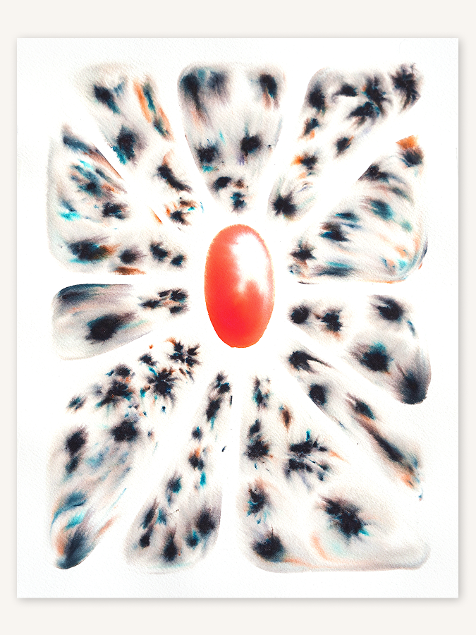 Cosmos