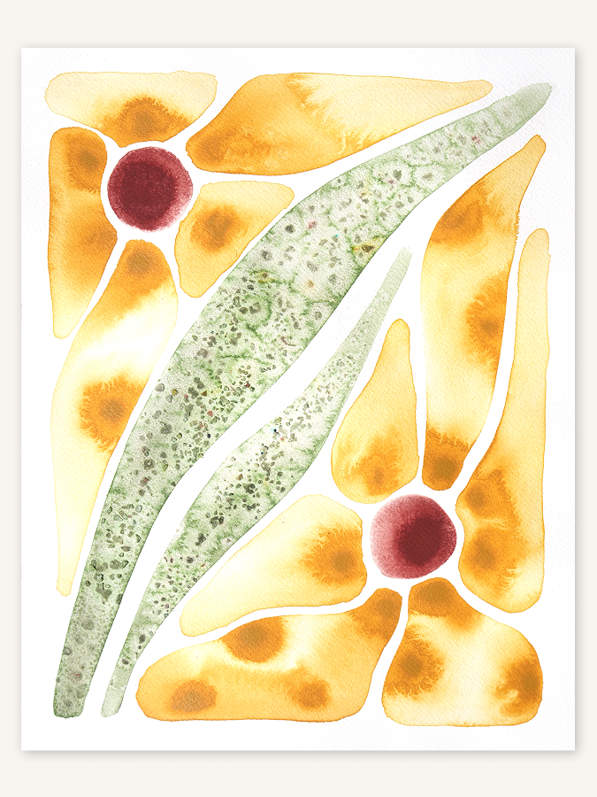Sun Patch