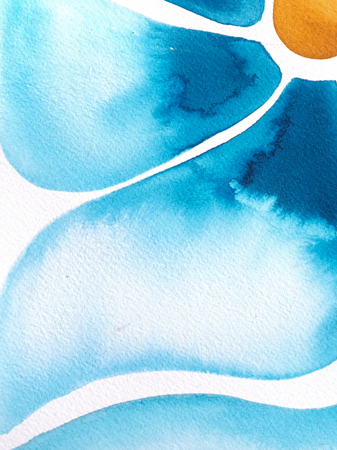 Bluebell_Close-up_Website.png