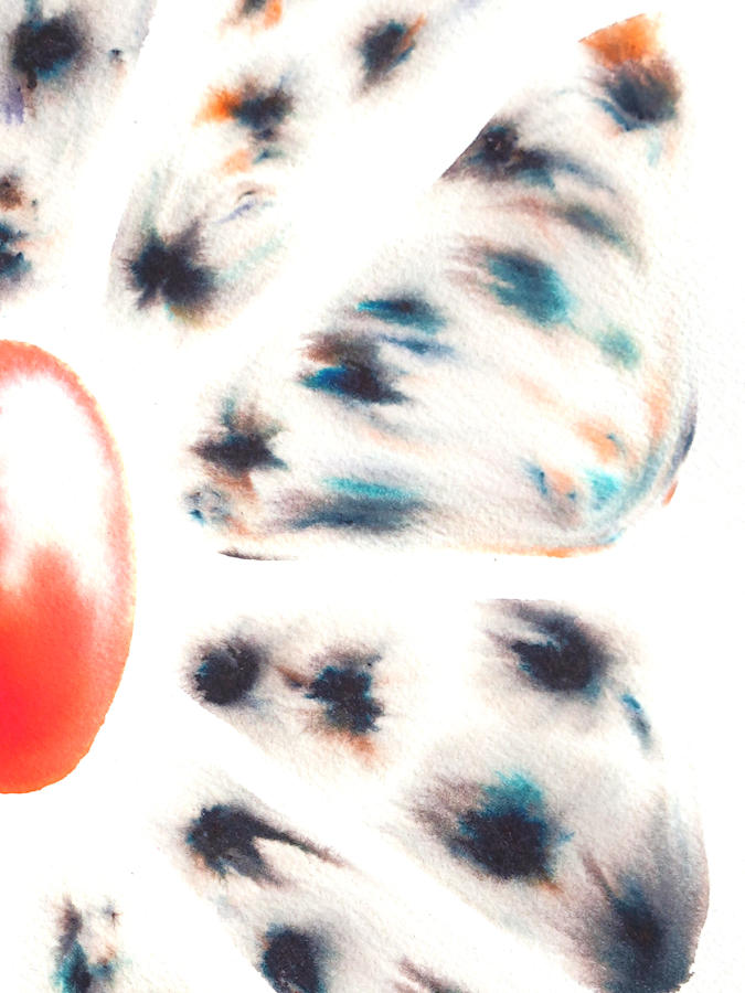 Cosmos_Close-up_Website.png