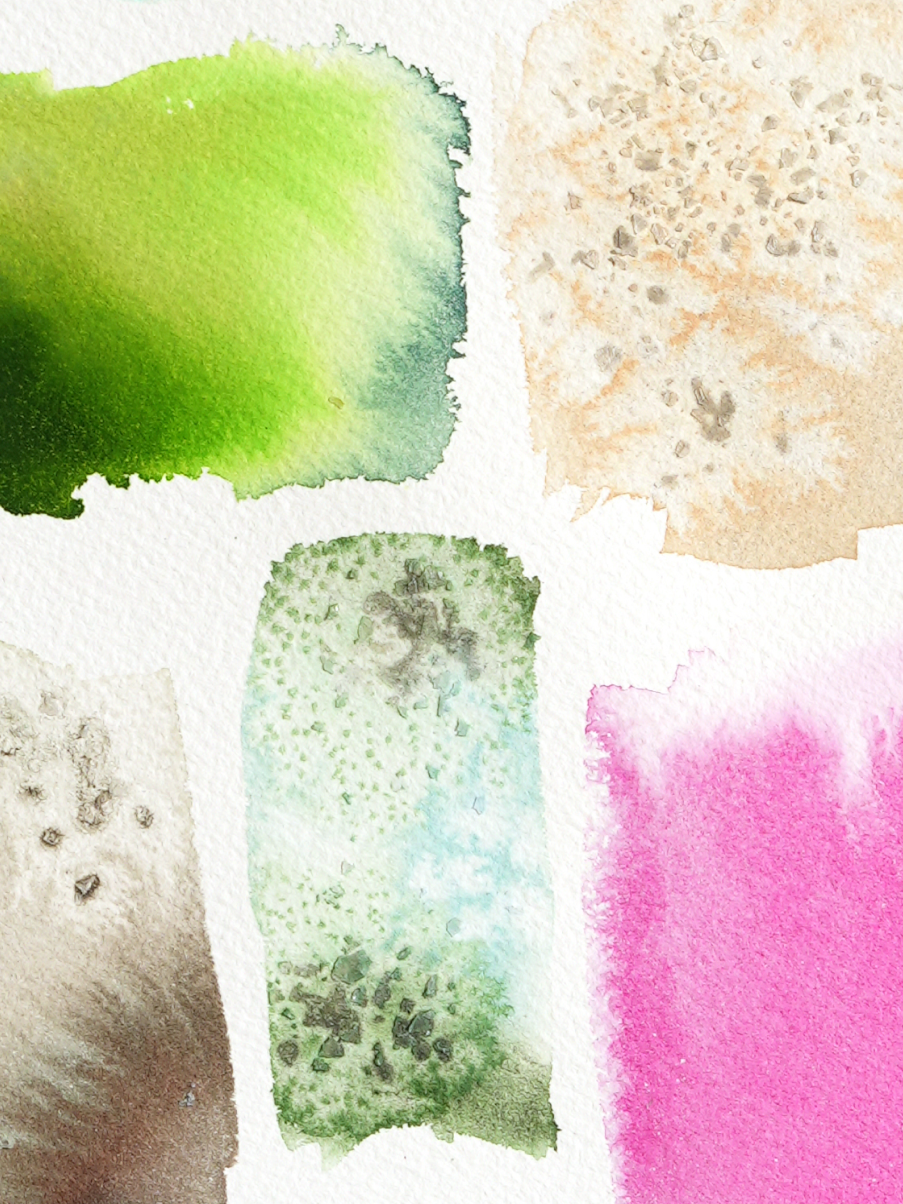 Summer-Bark_Close-Up.png