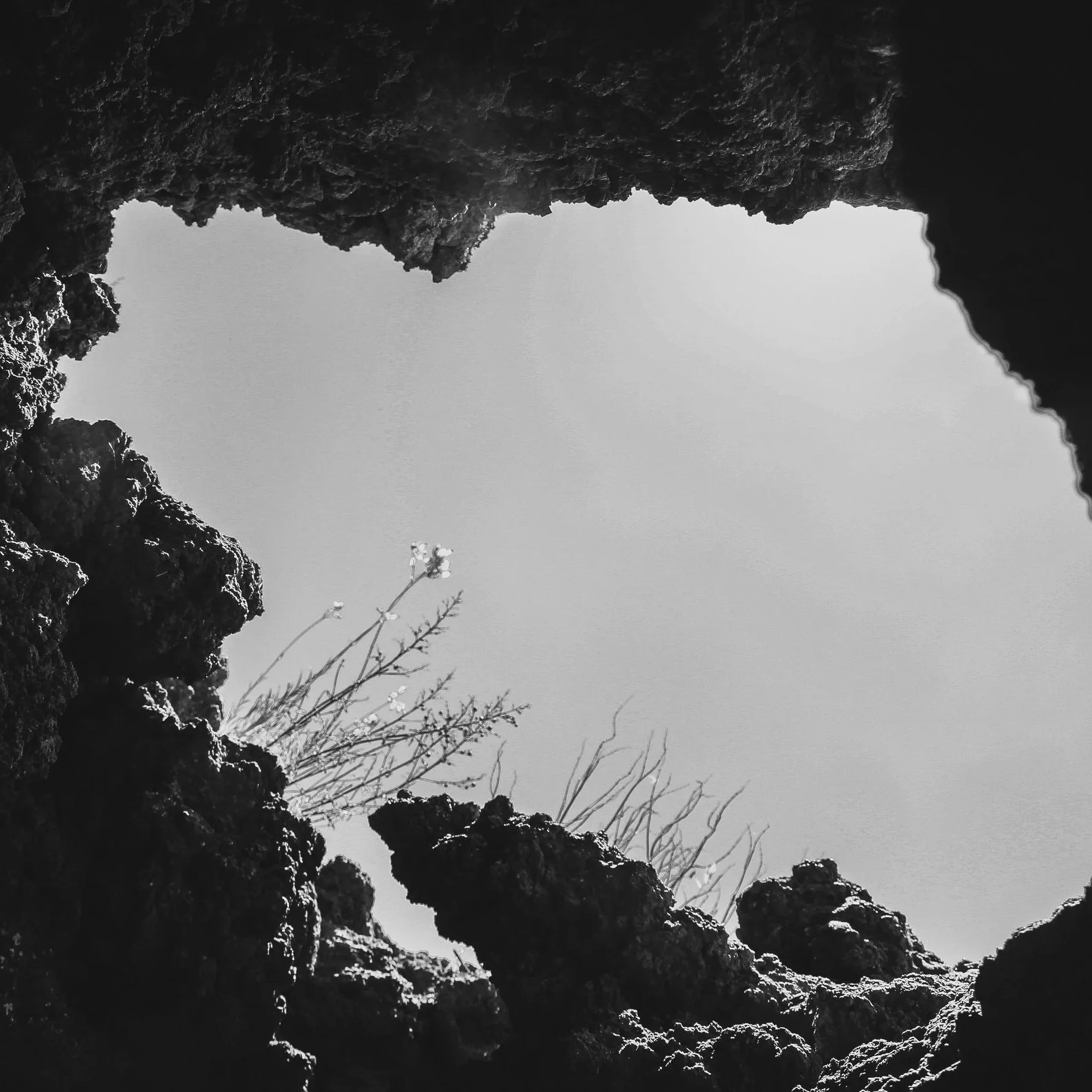 Looking upward through a rocky opening, with a clear sky and a few slender plants visible against the background.
