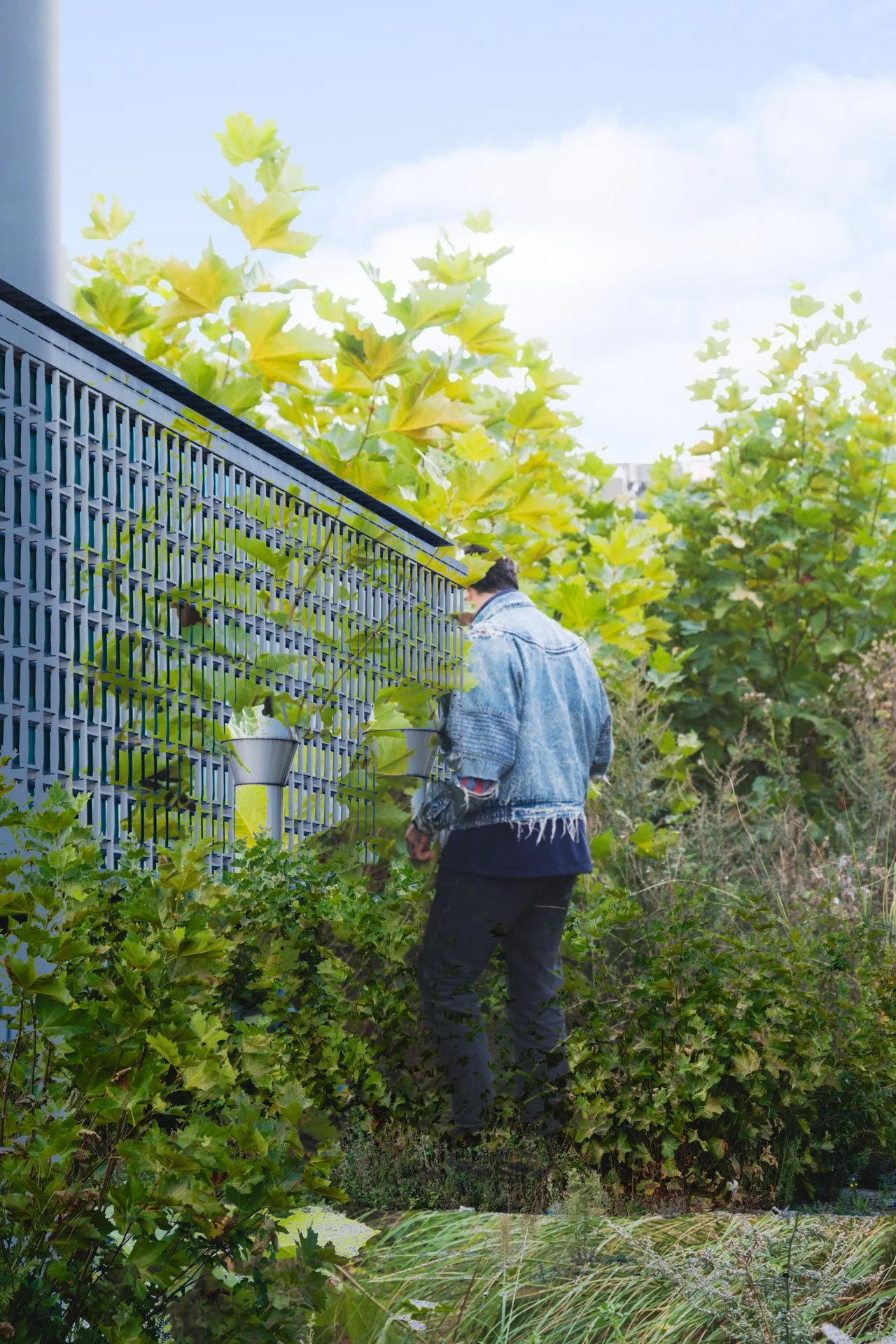 Une personne portant un blouson en denim et un pantalon sombre, debout dans un jardin dense avec des feuilles vertes, à côté d'un mur métallique perforé, entourée de végétation et de plantes.