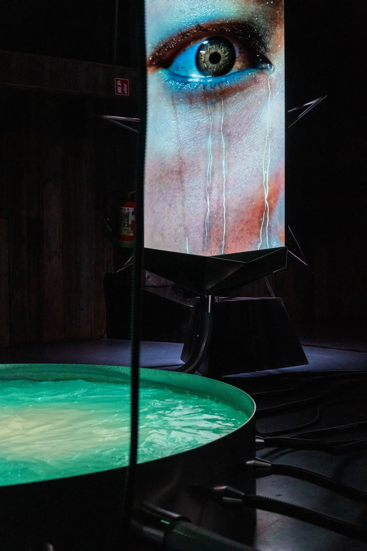 Exhibitions
& Performances