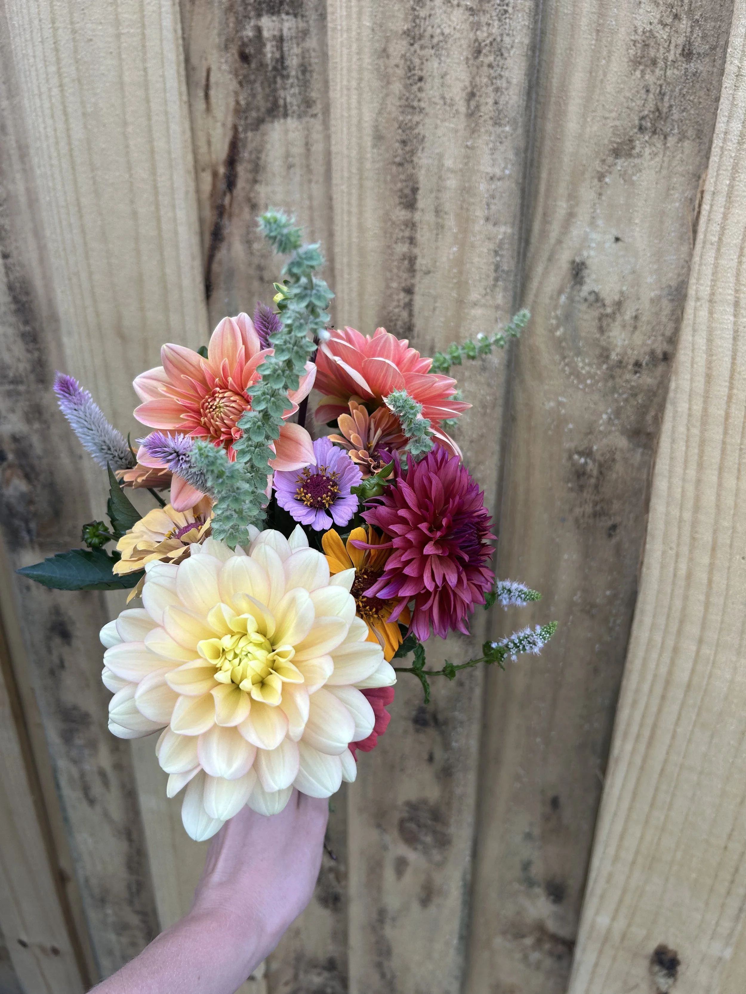 3 Week Spring Flower Subscription