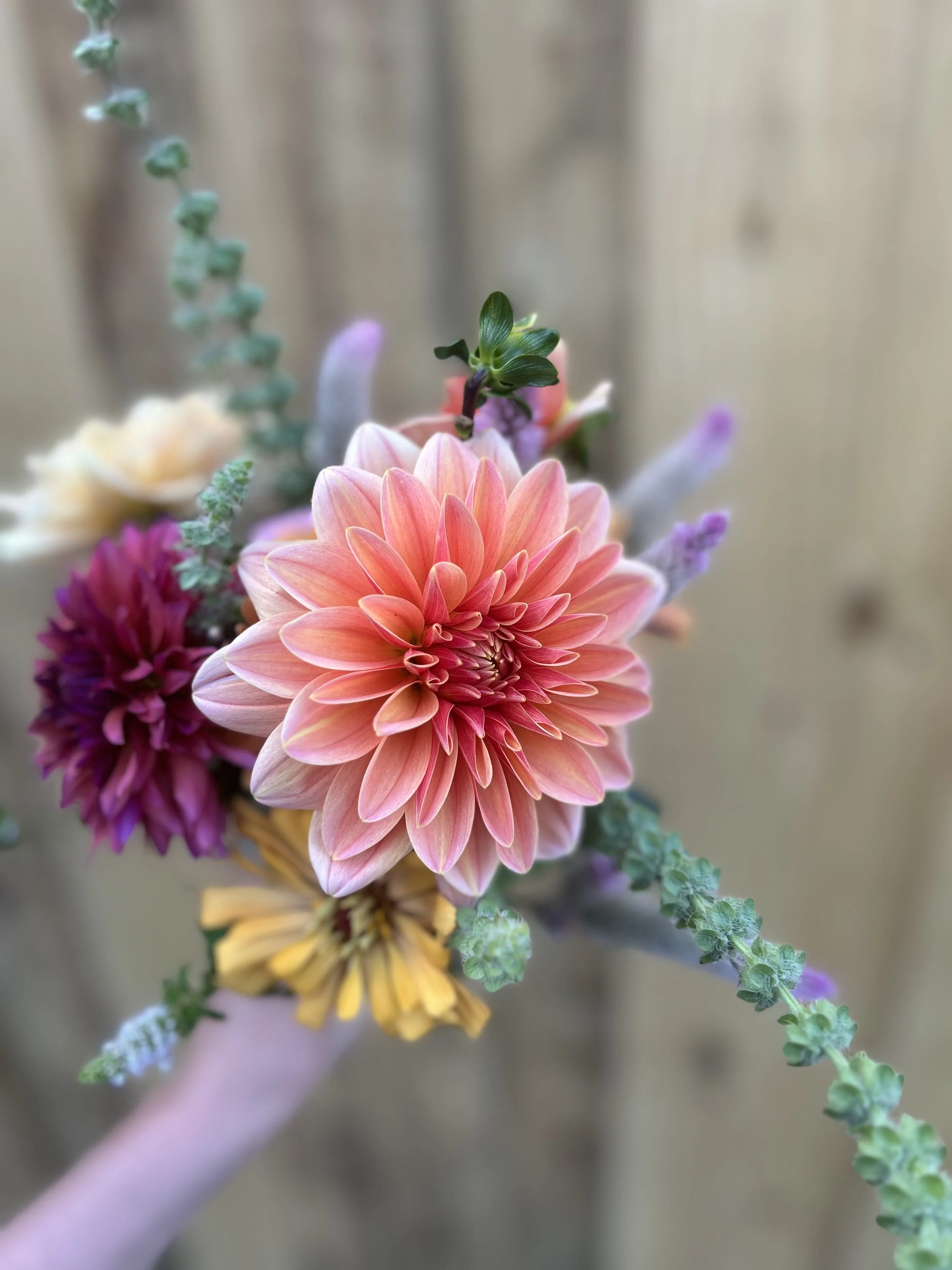 4 Week Spring Flower Subscription