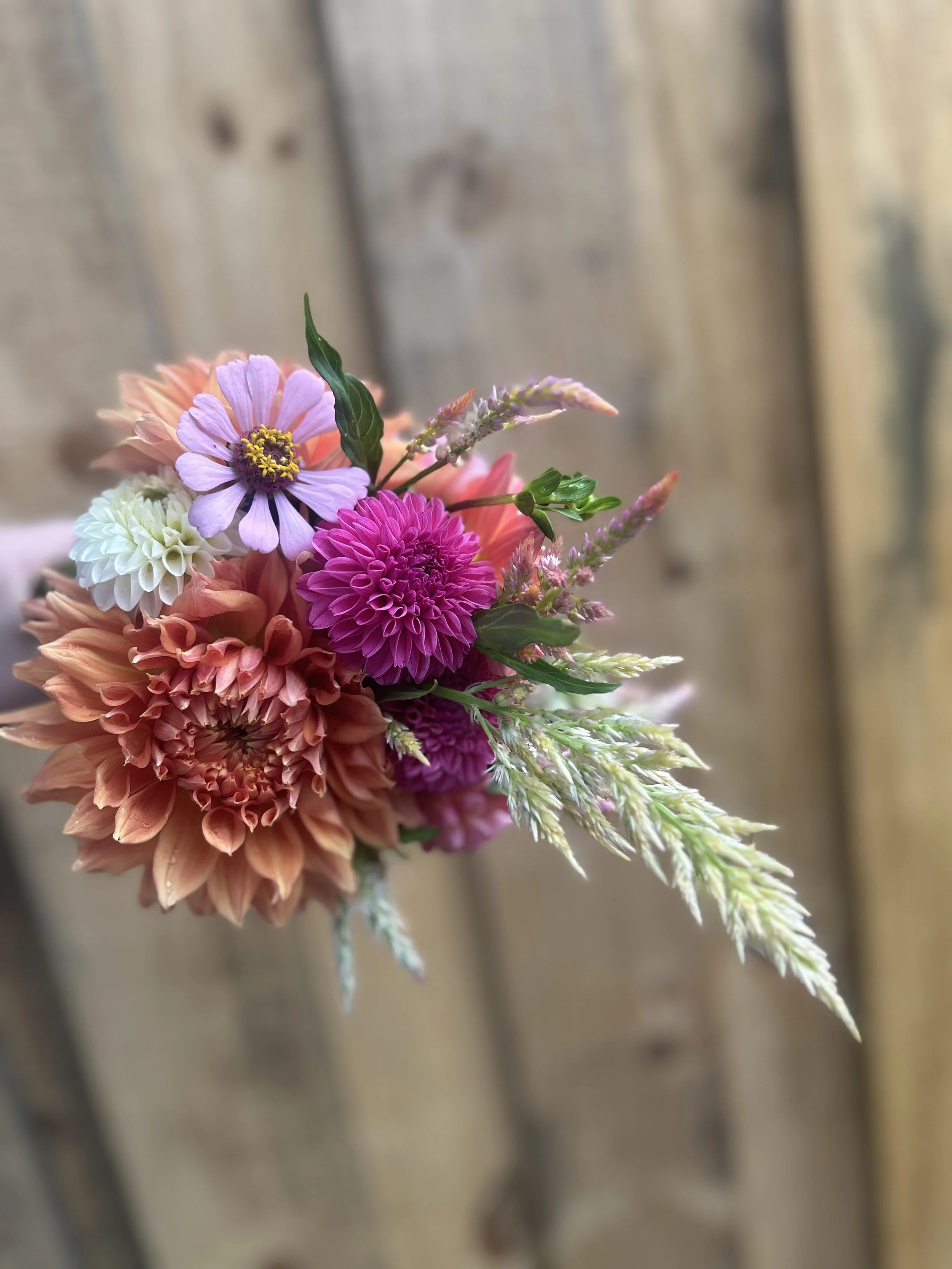 4 Week Summer Flower Subscription