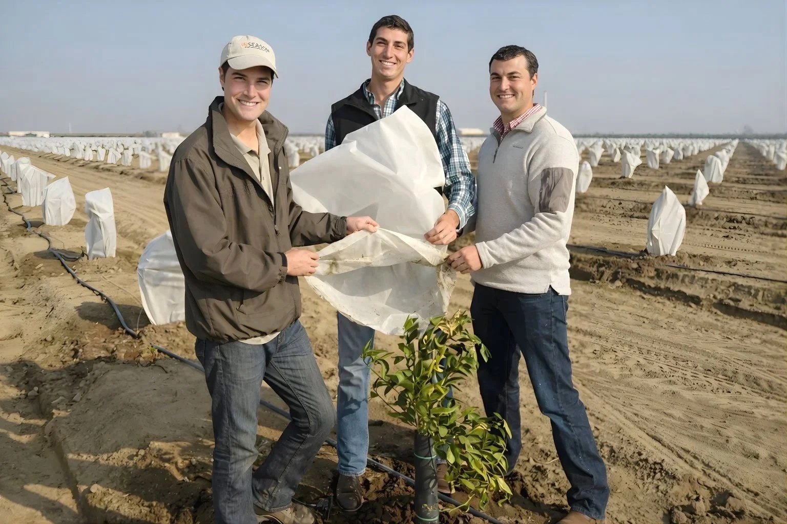 Three men standing in a field planting a young tree, with a background of rows of covered plants or trees in soil, under a clear sky.