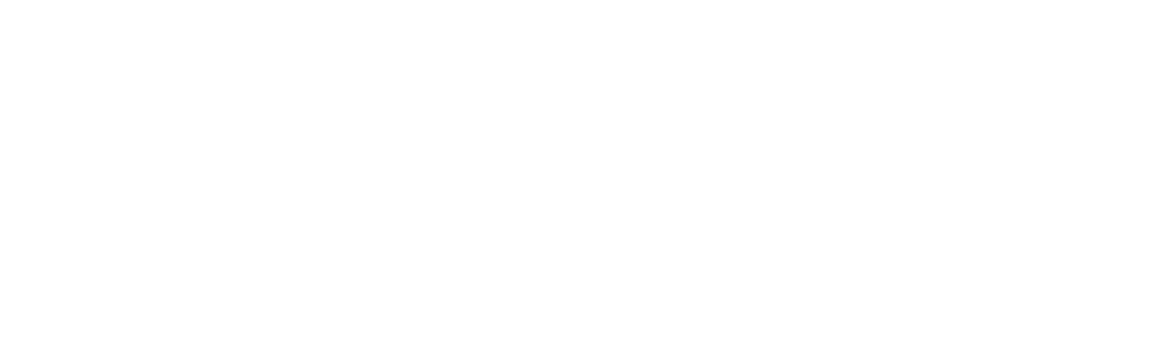 Stylized black and white silhouette of a feather.