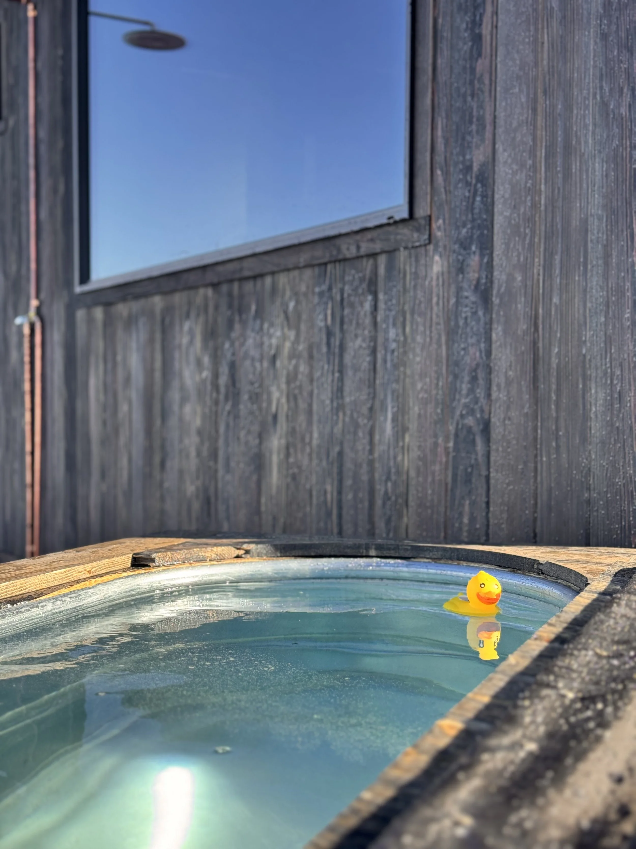A small hot tub with a yellow rubber duck floating on the water, outside next to a dark wooden wall and window, under a clear blue sky.