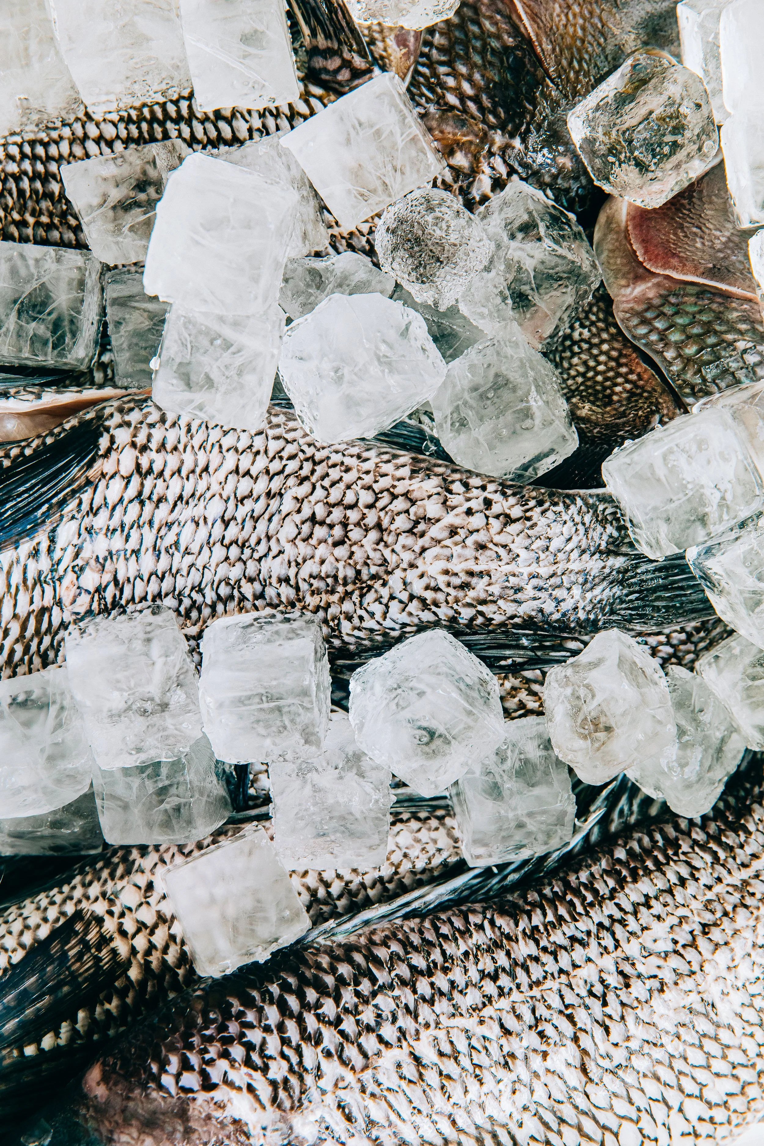 Quality sourced sustainable seafood Palm Springs fine dining