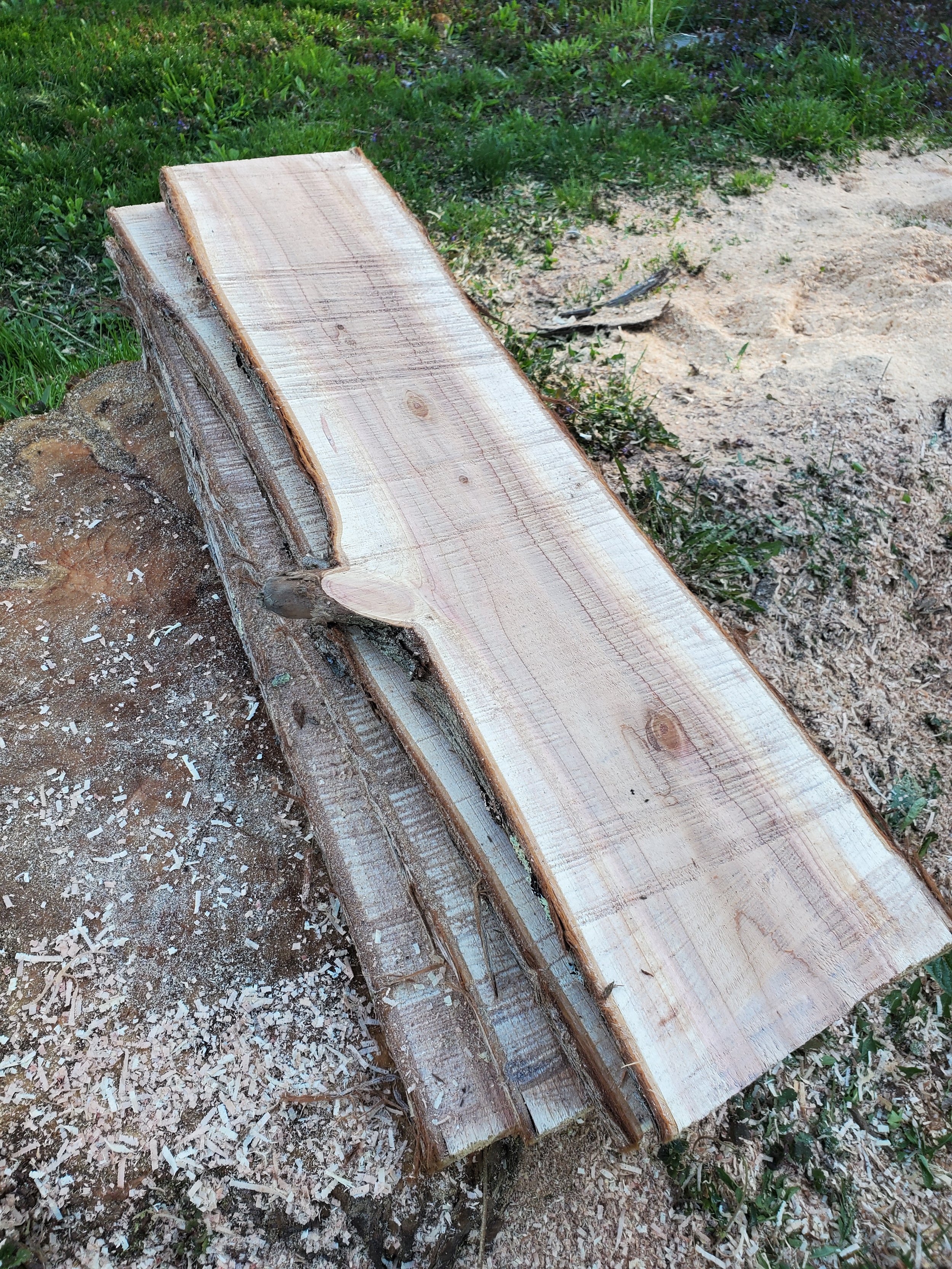 A pile of freshly cut slabs of cedar outdoors on a patch of dirt and grass, with wood shavings scattered around.